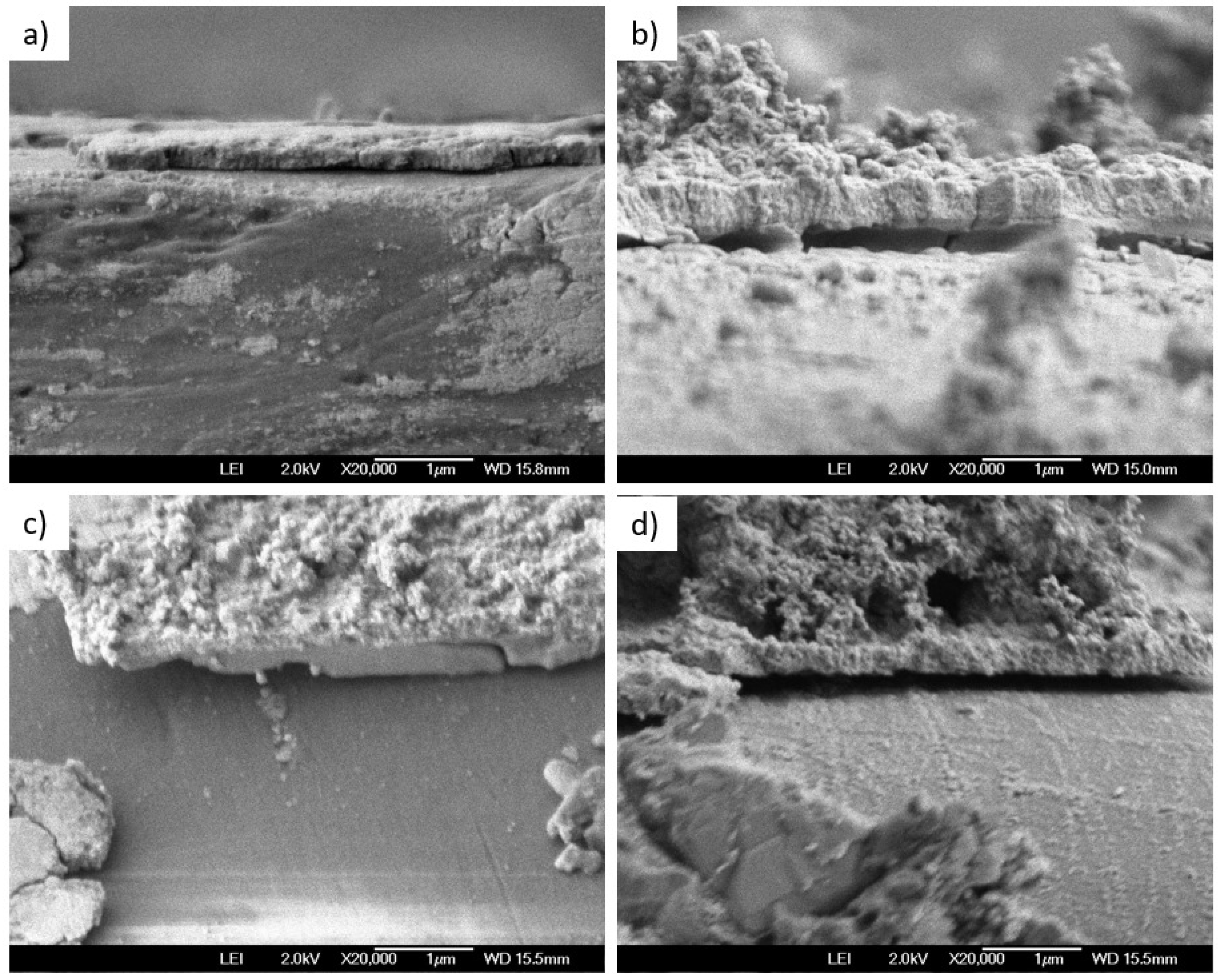 Nanomaterials 15 00085 g005