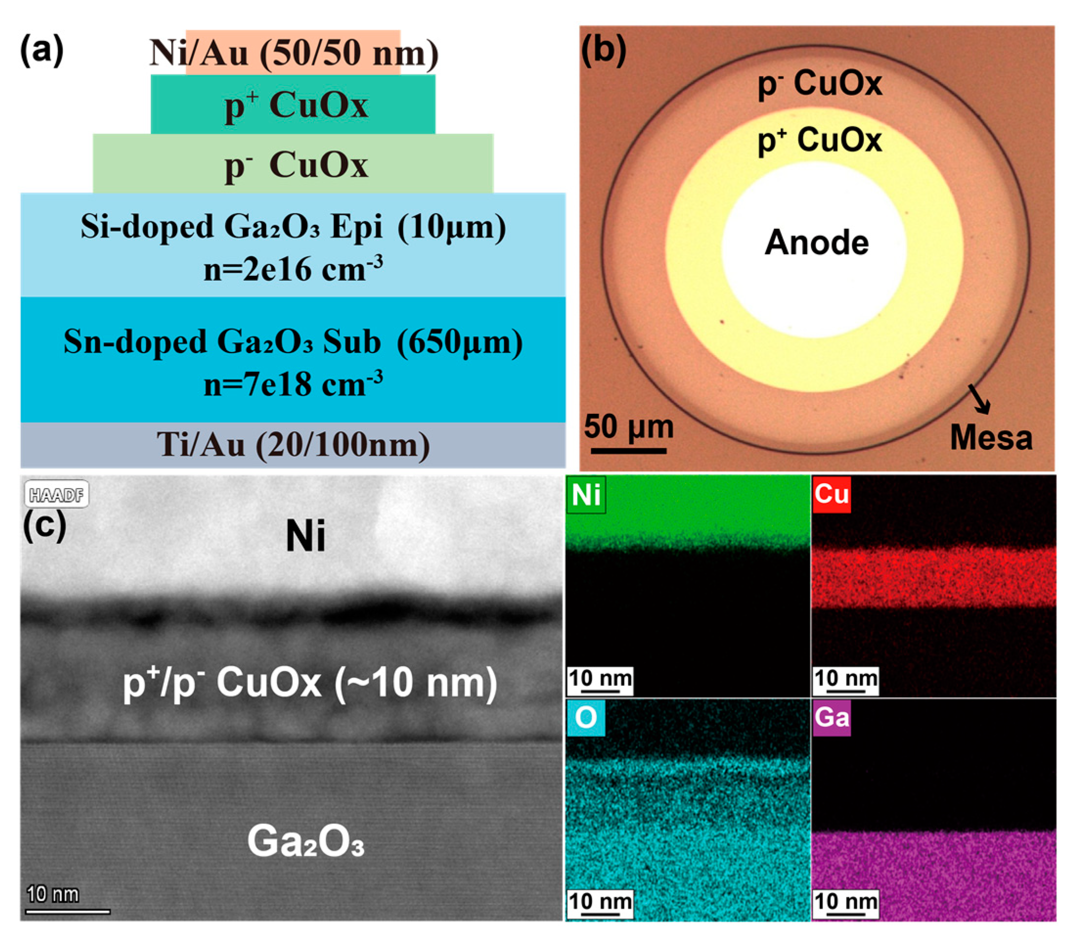 fuuu Optimization of CuOx/Ga2O3 Heterojunction Diodes for High