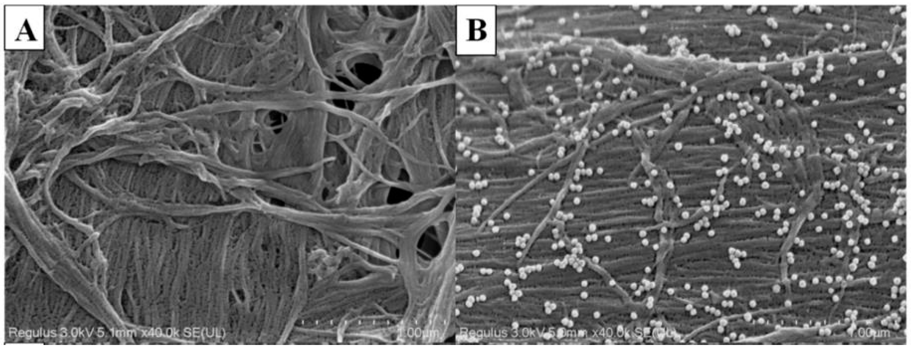 Nanomaterials 15 00089 g002 Nanomaterials 15 00089 g002