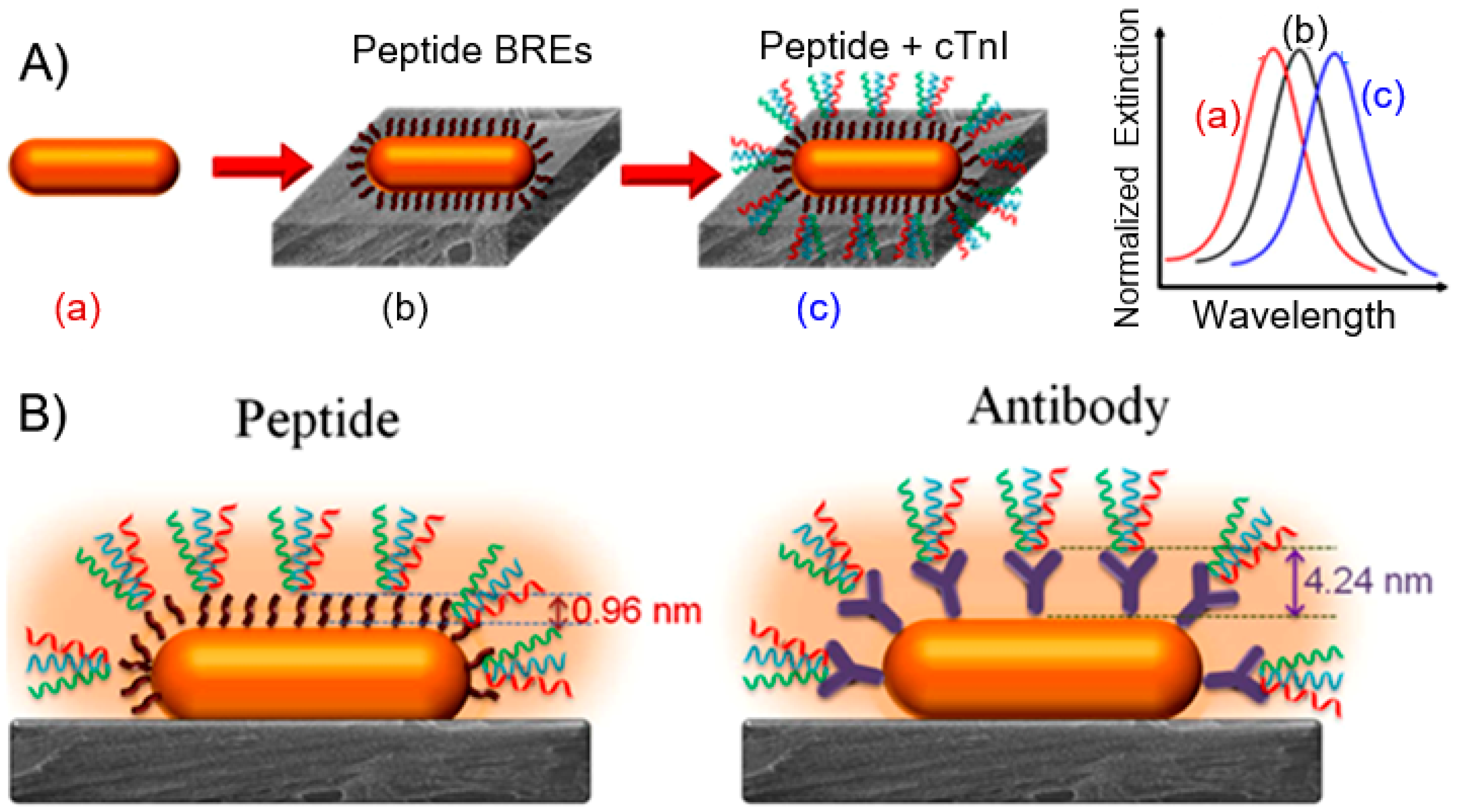 Nanomaterials 15 00089 g003 Nanomaterials 15 00089 g003