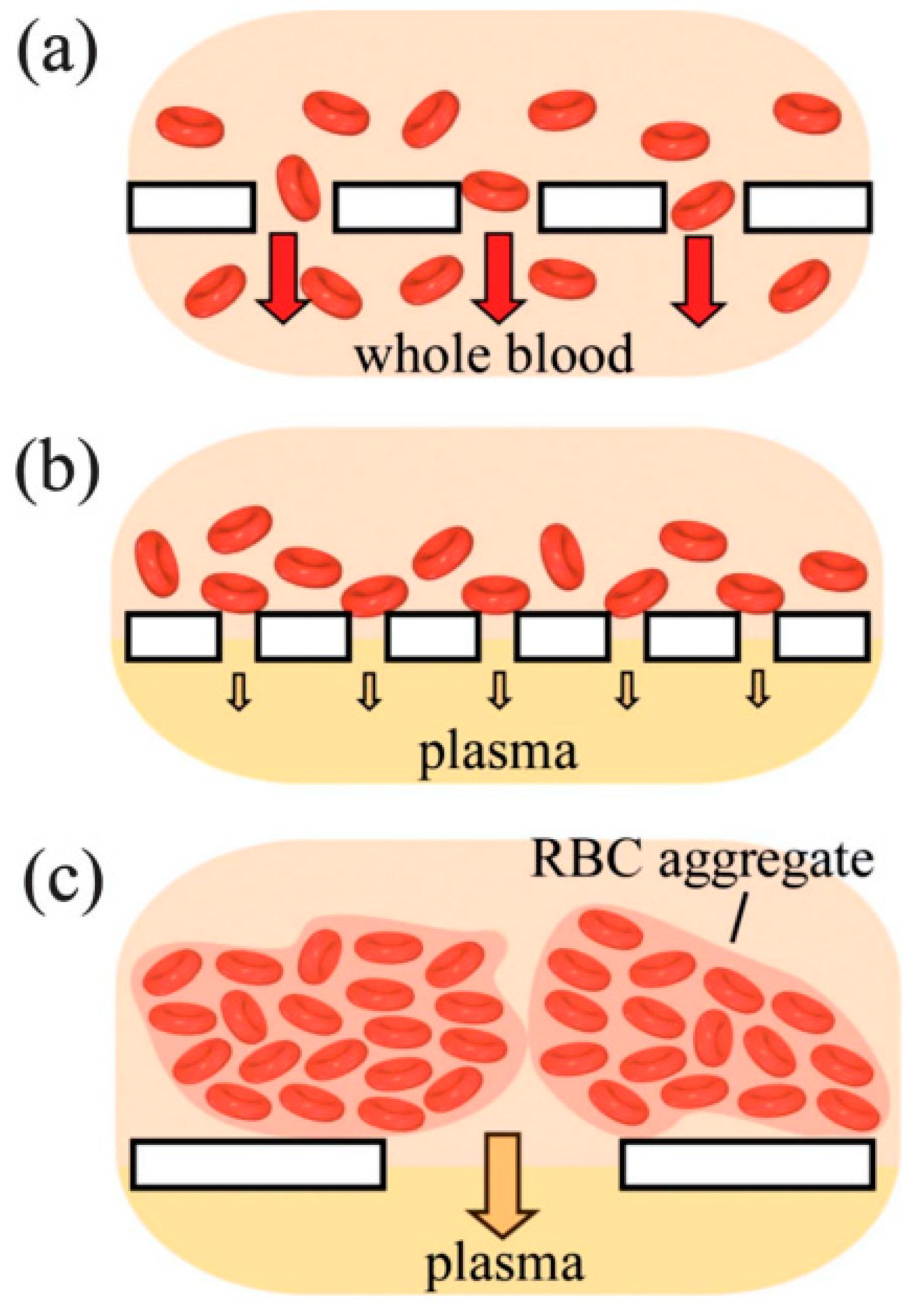 Nanomaterials 15 00089 g009 Nanomaterials 15 00089 g009
