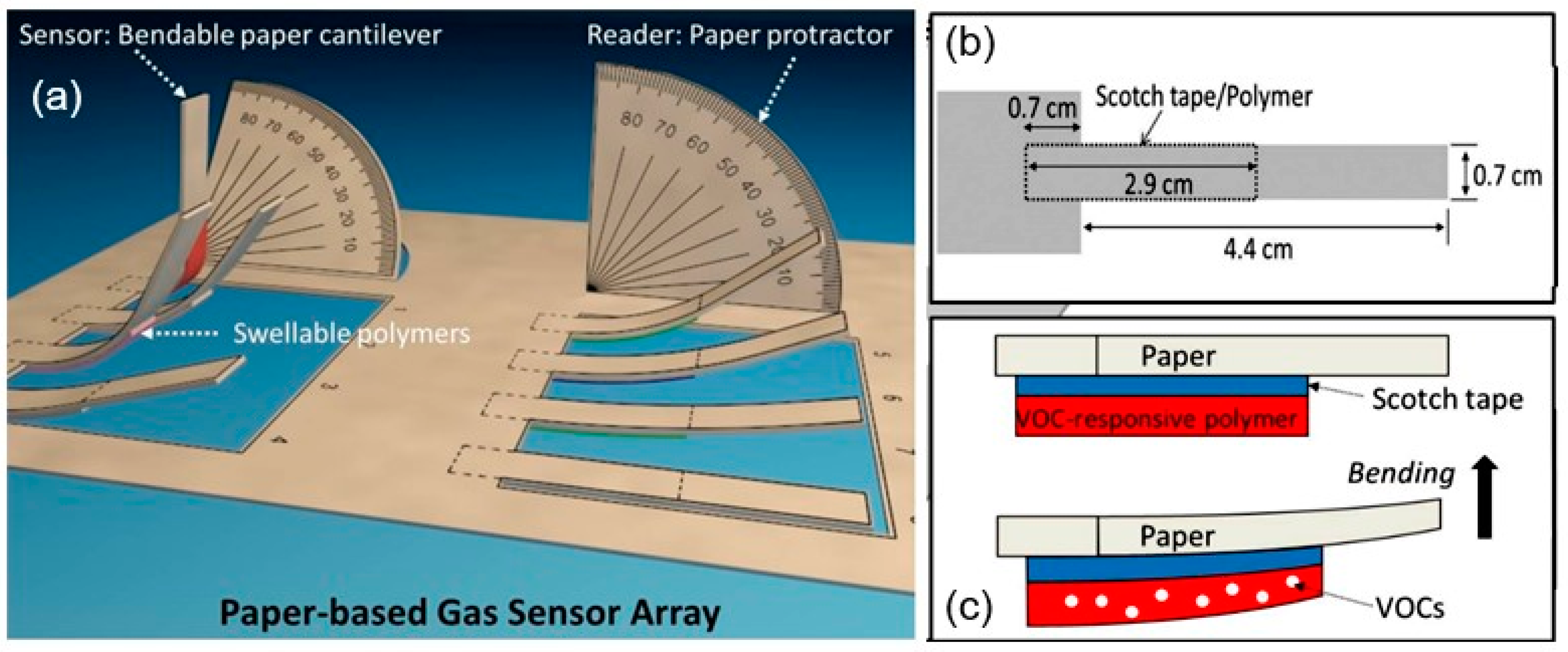 Nanomaterials 15 00089 g012 Nanomaterials 15 00089 g012