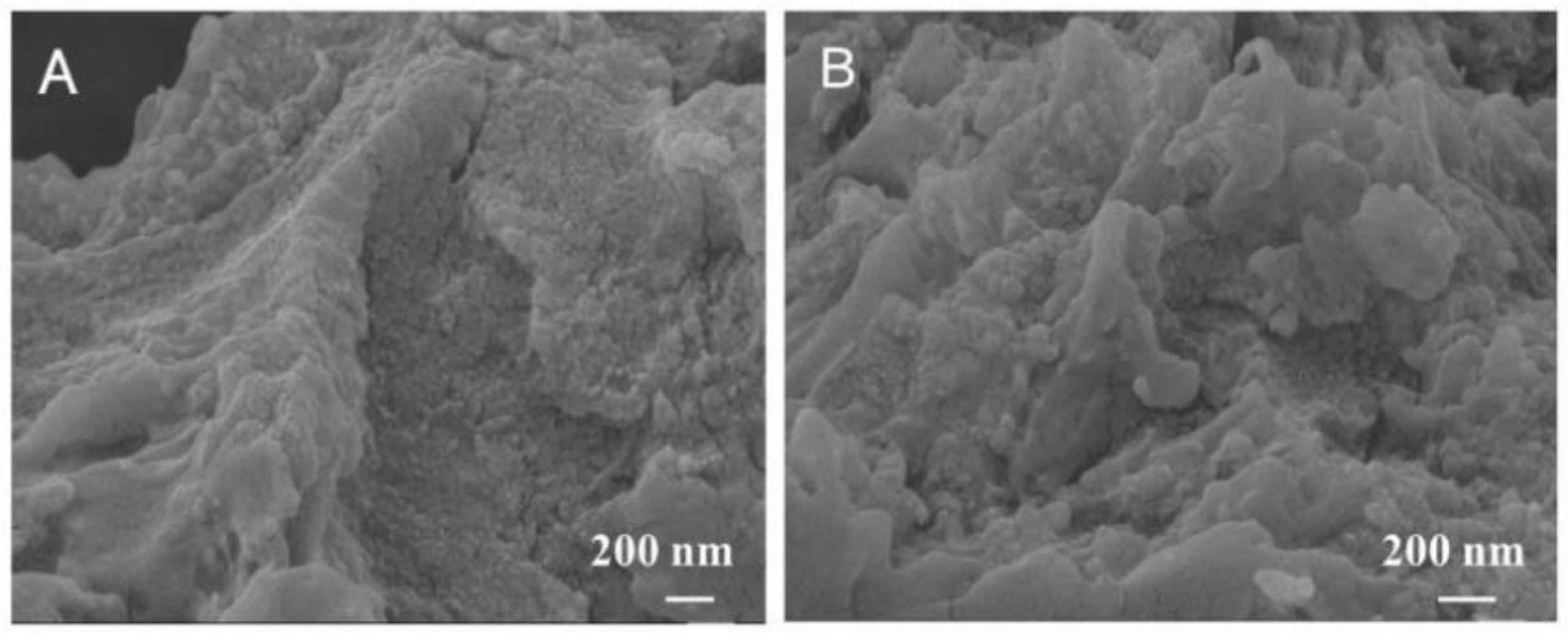 Nanomaterials 15 00091 g003