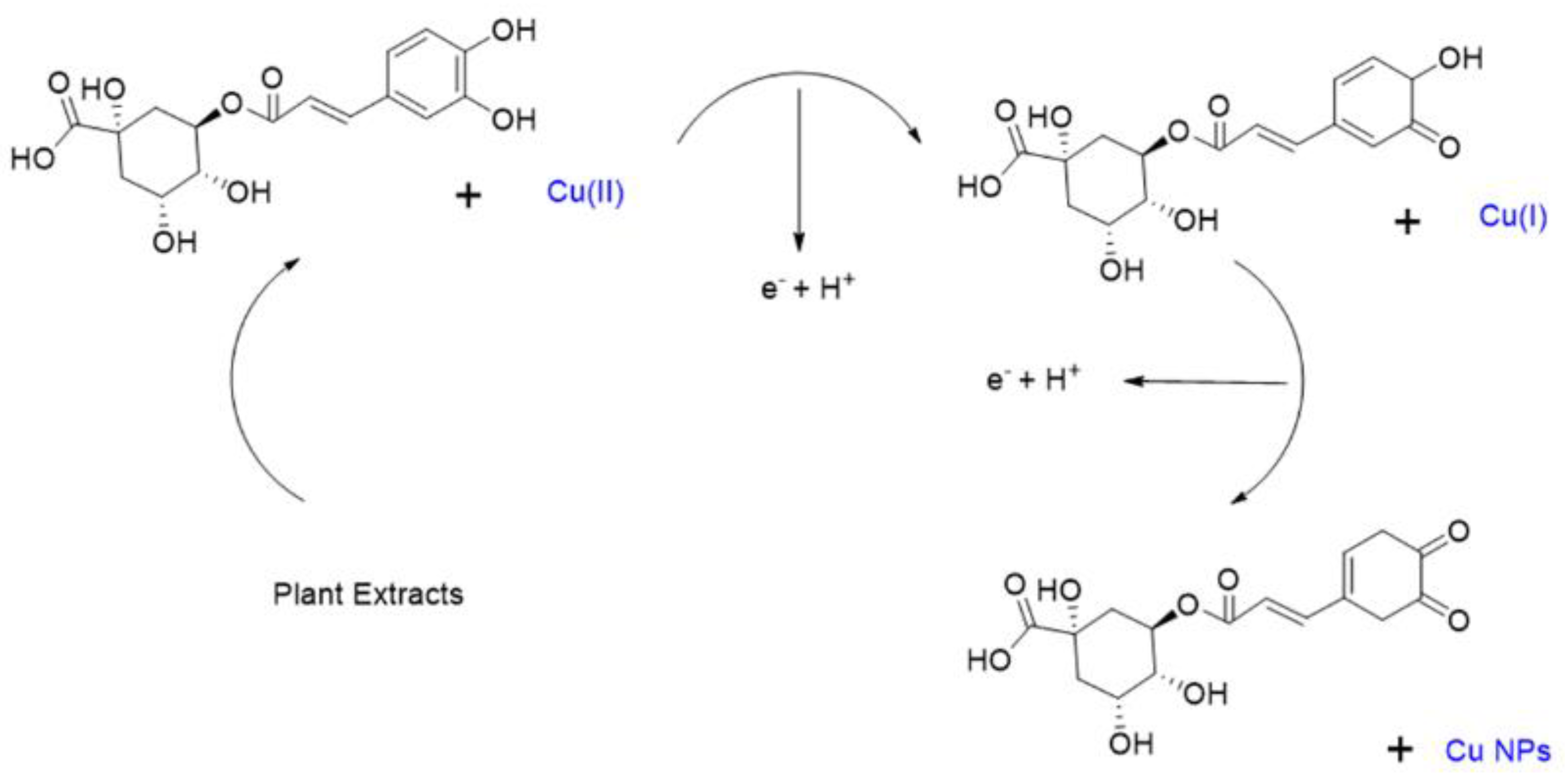 Nanomaterials 15 00091 g005