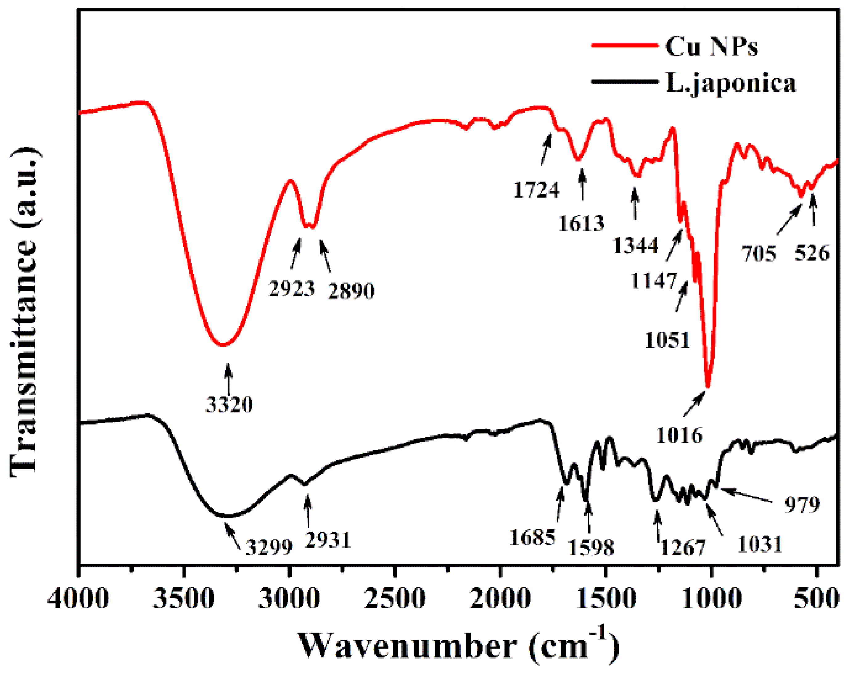 Nanomaterials 15 00091 g006