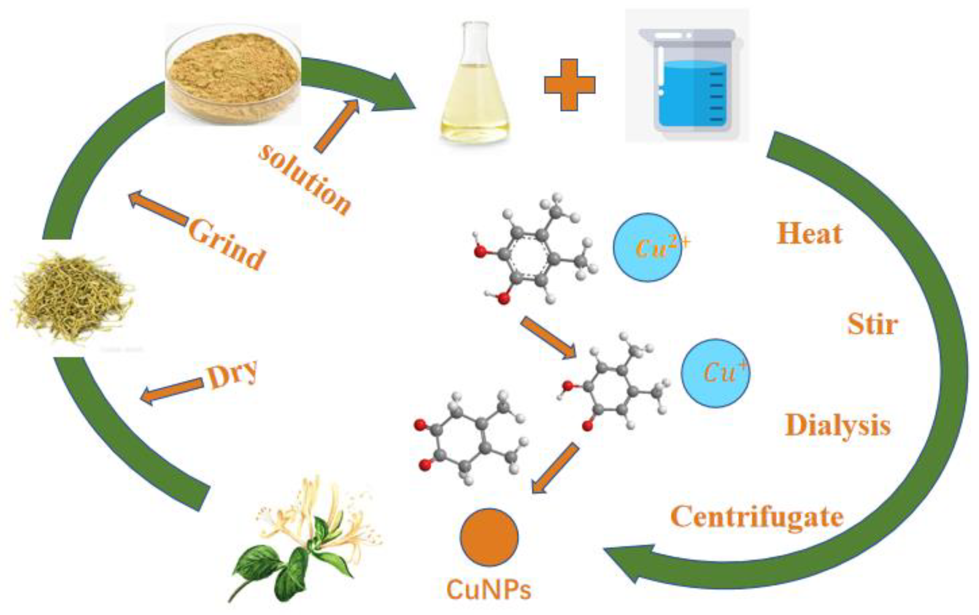 Nanomaterials 15 00091 sch001
