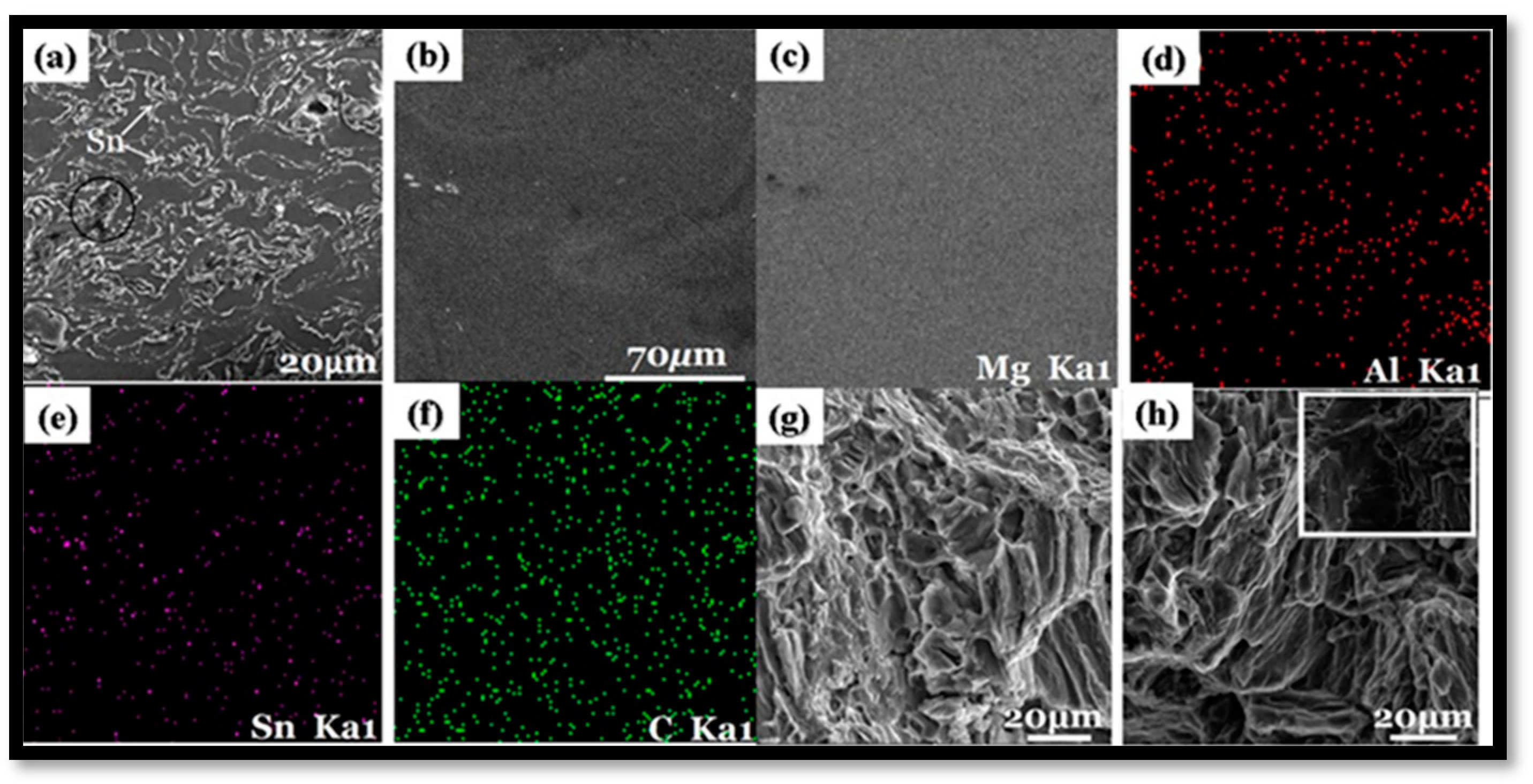 Nanomaterials 15 00092 g004