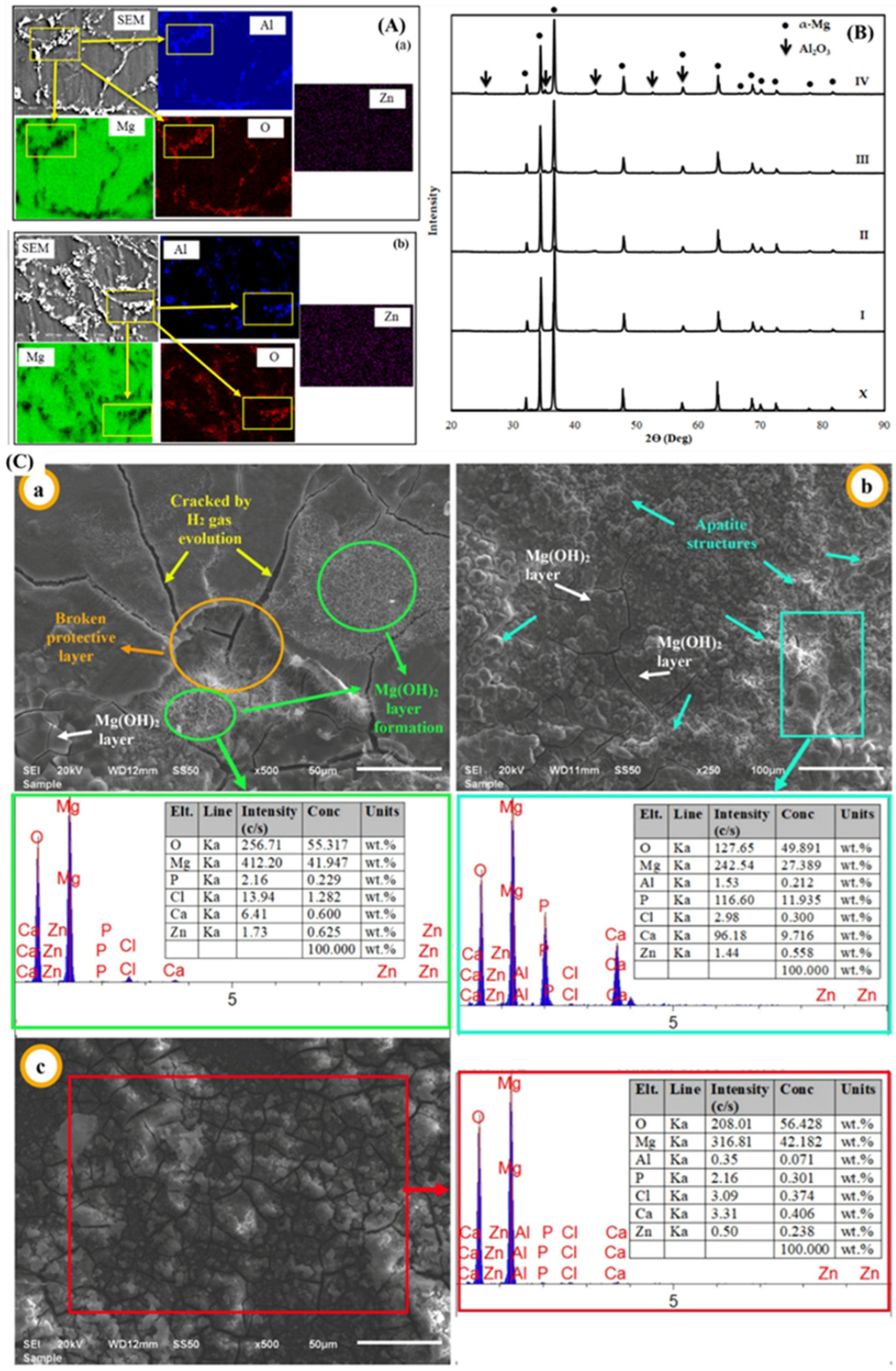 Nanomaterials 15 00092 g006