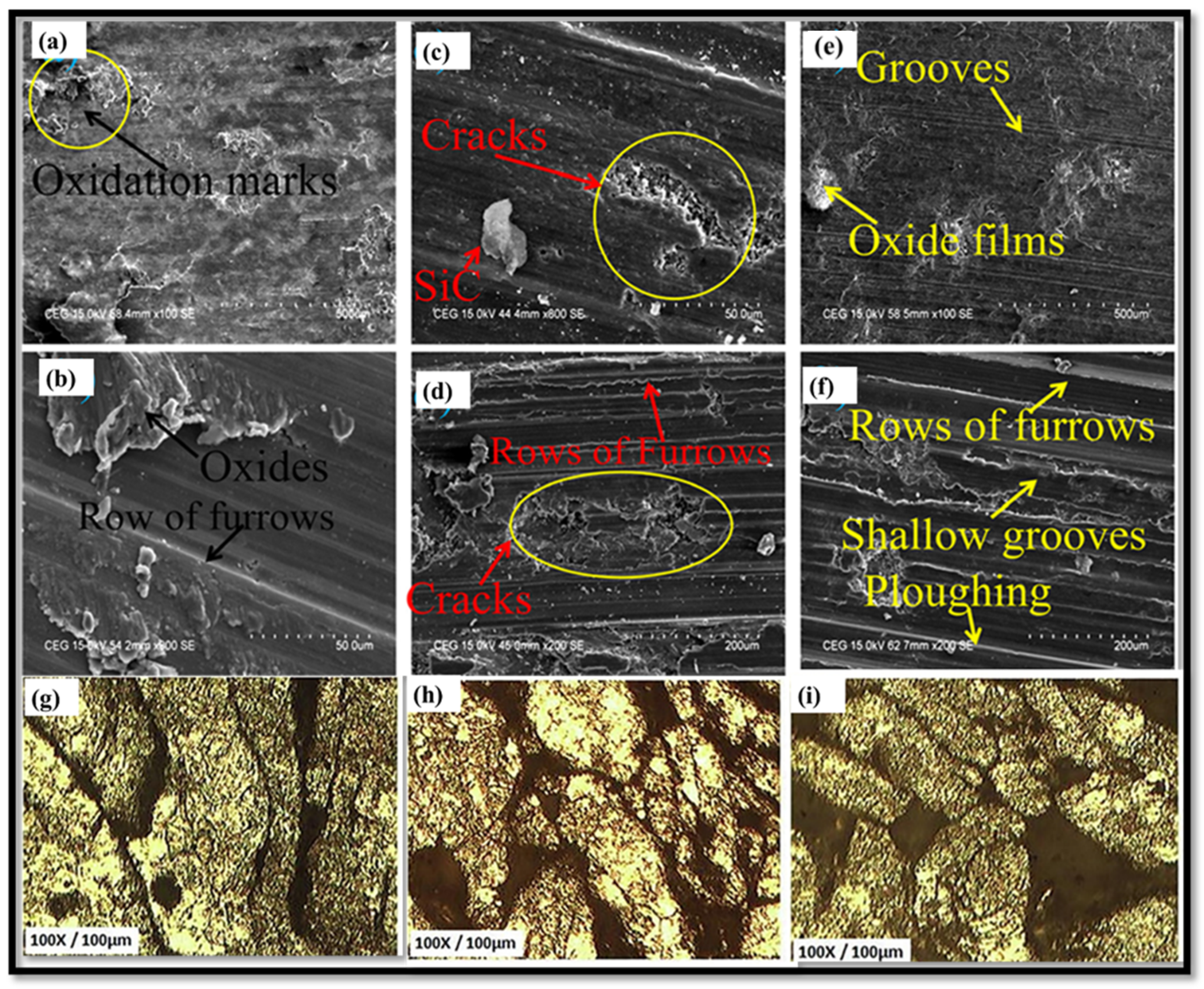 Nanomaterials 15 00092 g008