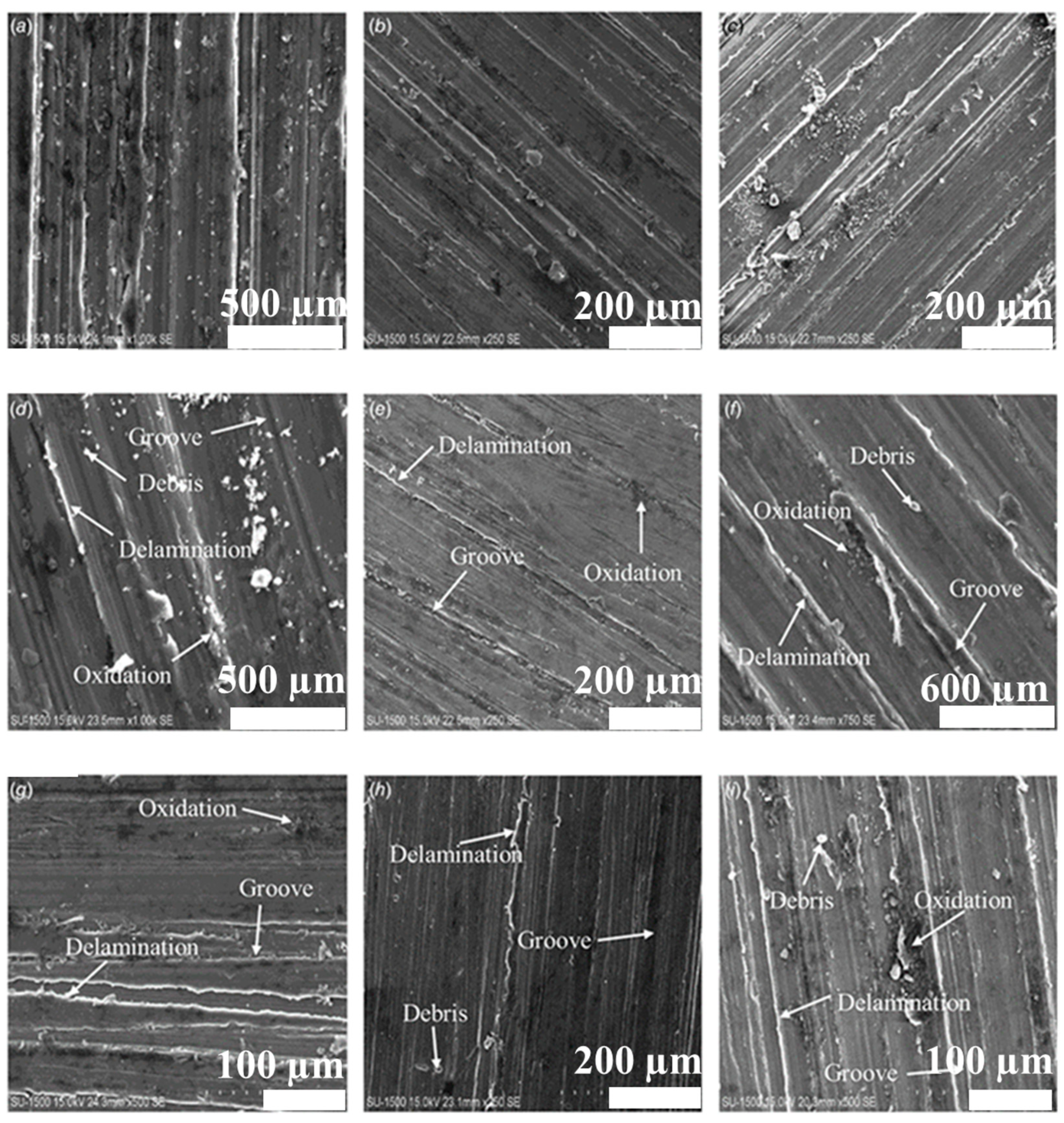 Nanomaterials 15 00092 g009