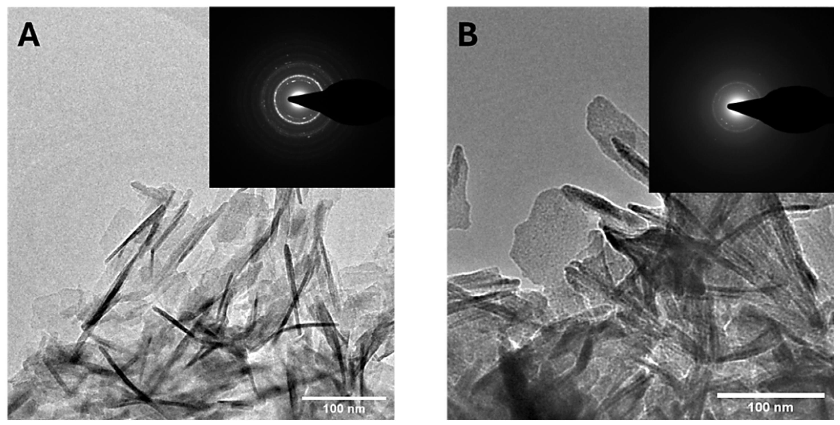 Nanomaterials 15 00094 g004