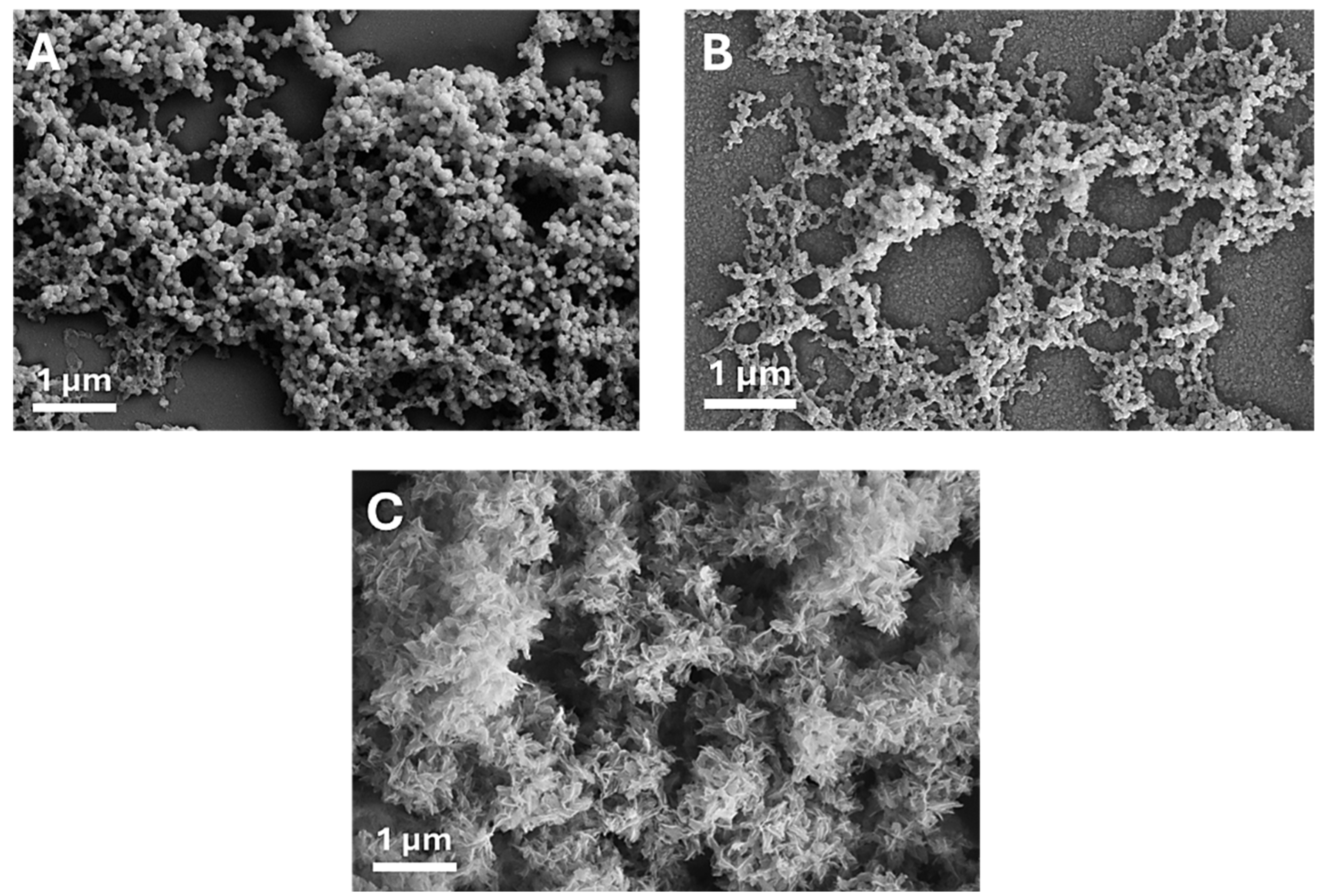 Nanomaterials 15 00094 g008