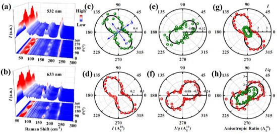 Raman and Photoluminescence Studies of Quasiparticles in van
