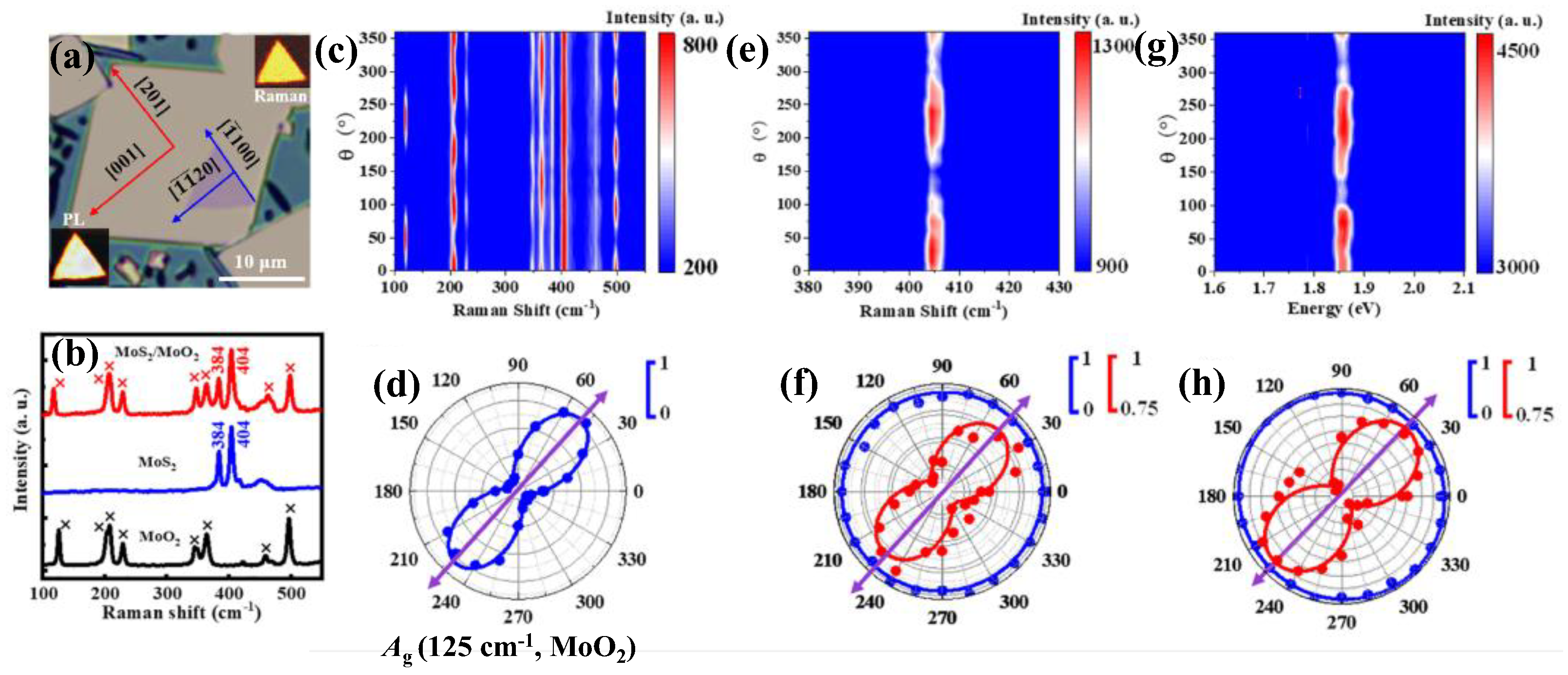 Nanomaterials 15 00101 g011 Nanomaterials 15 00101 g011