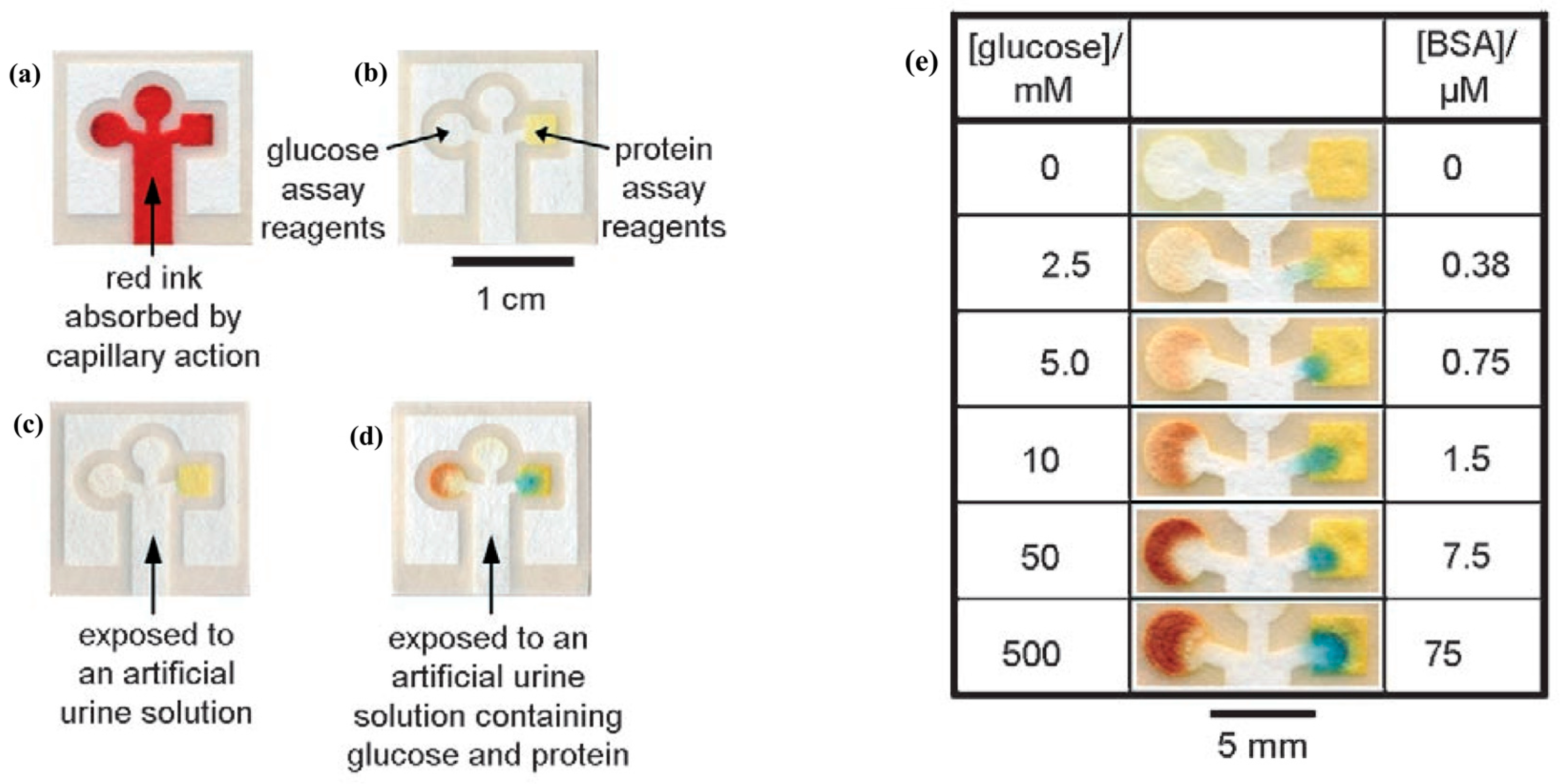 Nanomaterials 15 00107 g001
