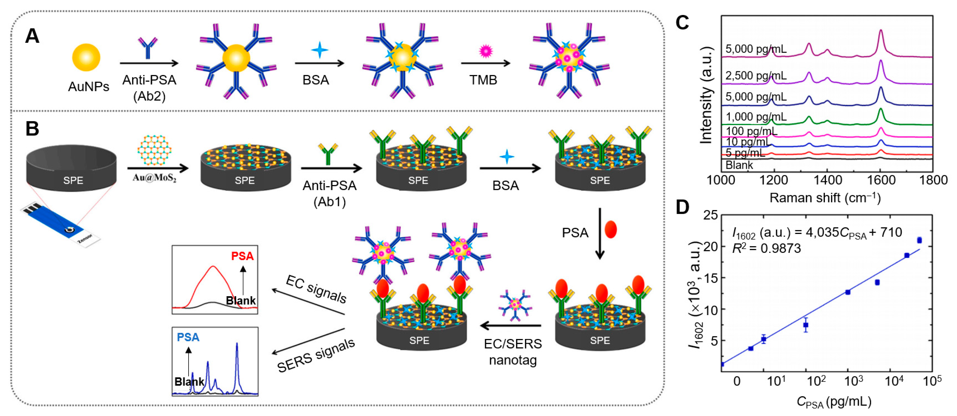 Nanomaterials 15 00111 g004