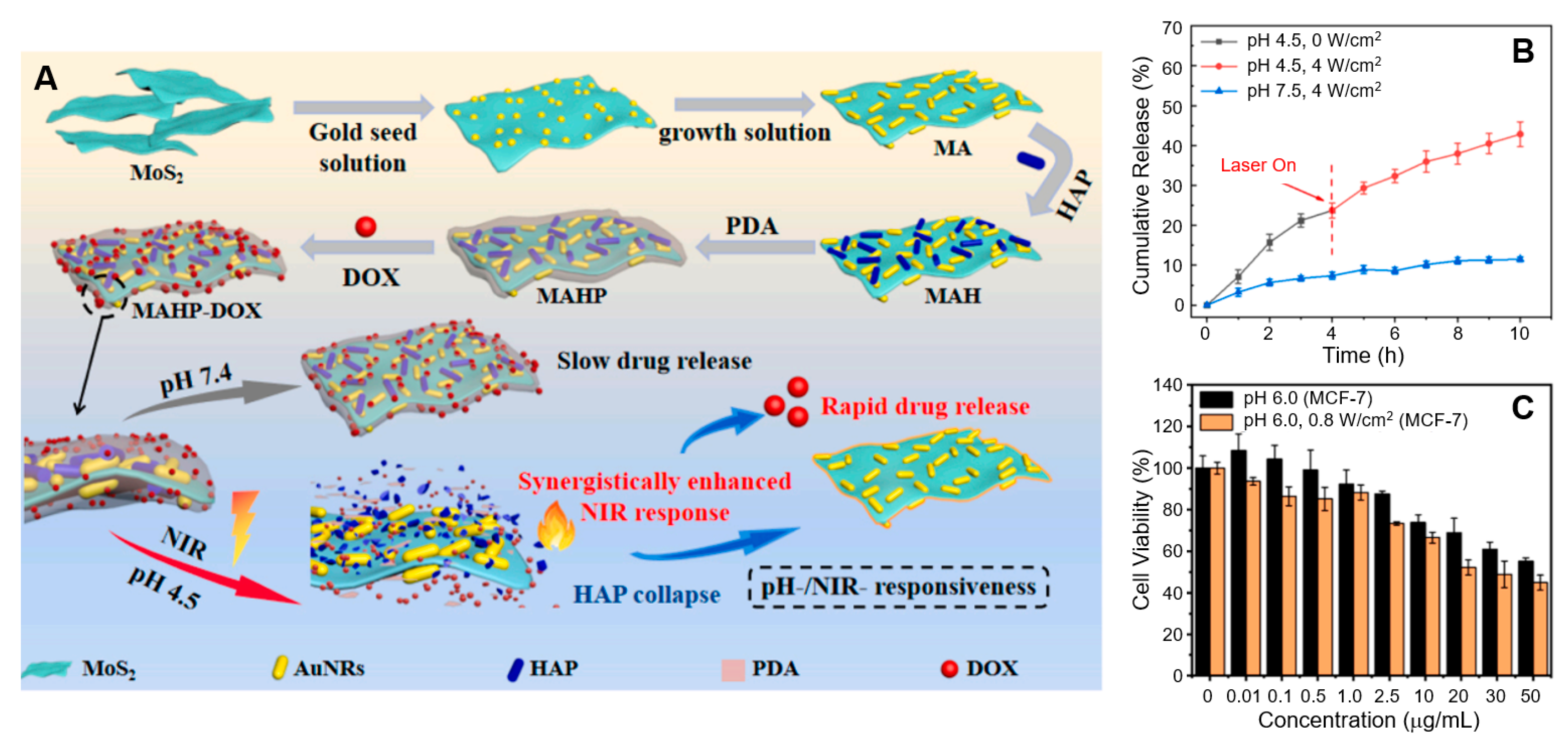 Nanomaterials 15 00111 g006