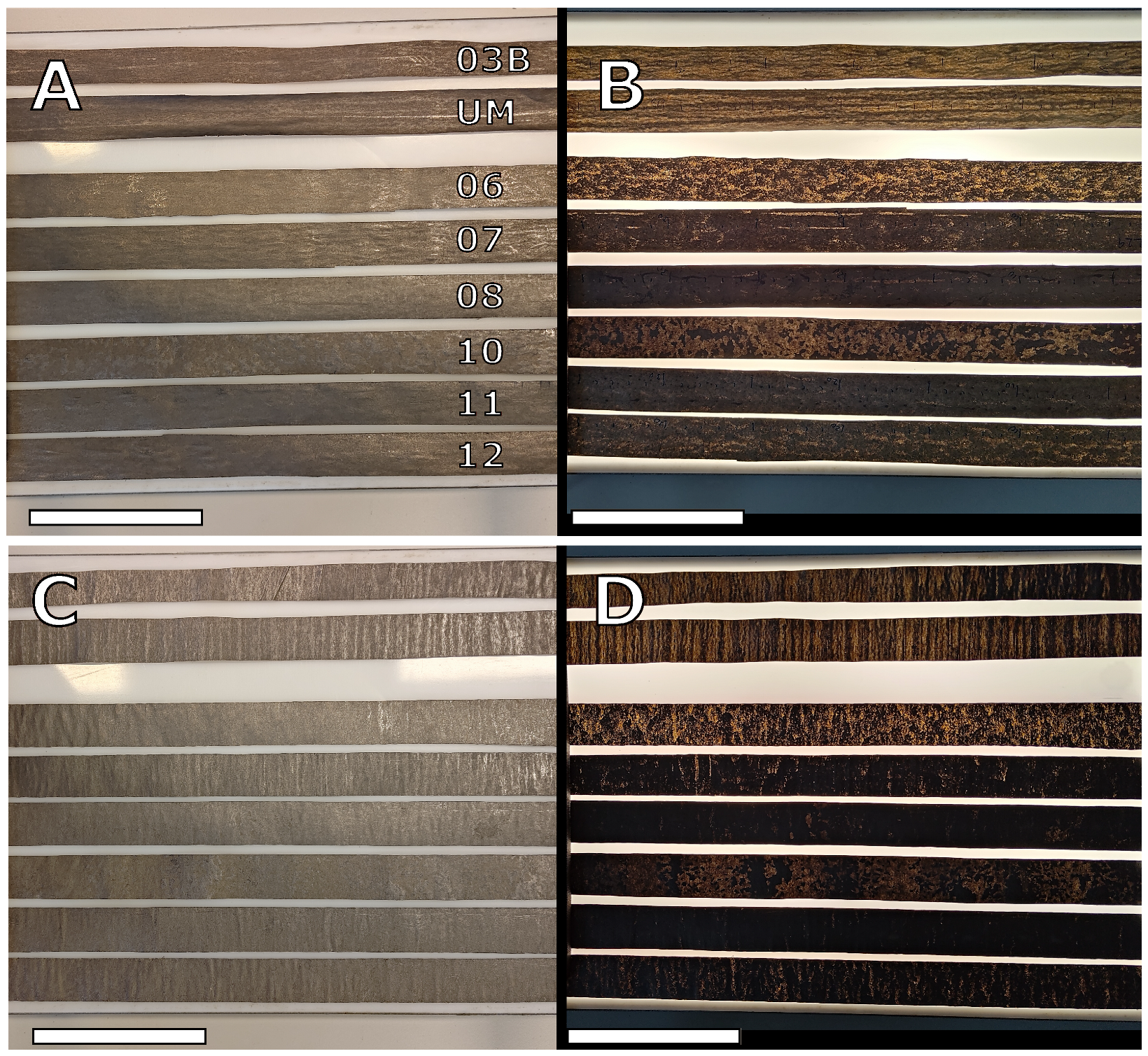 Nanomaterials 15 00113 g003