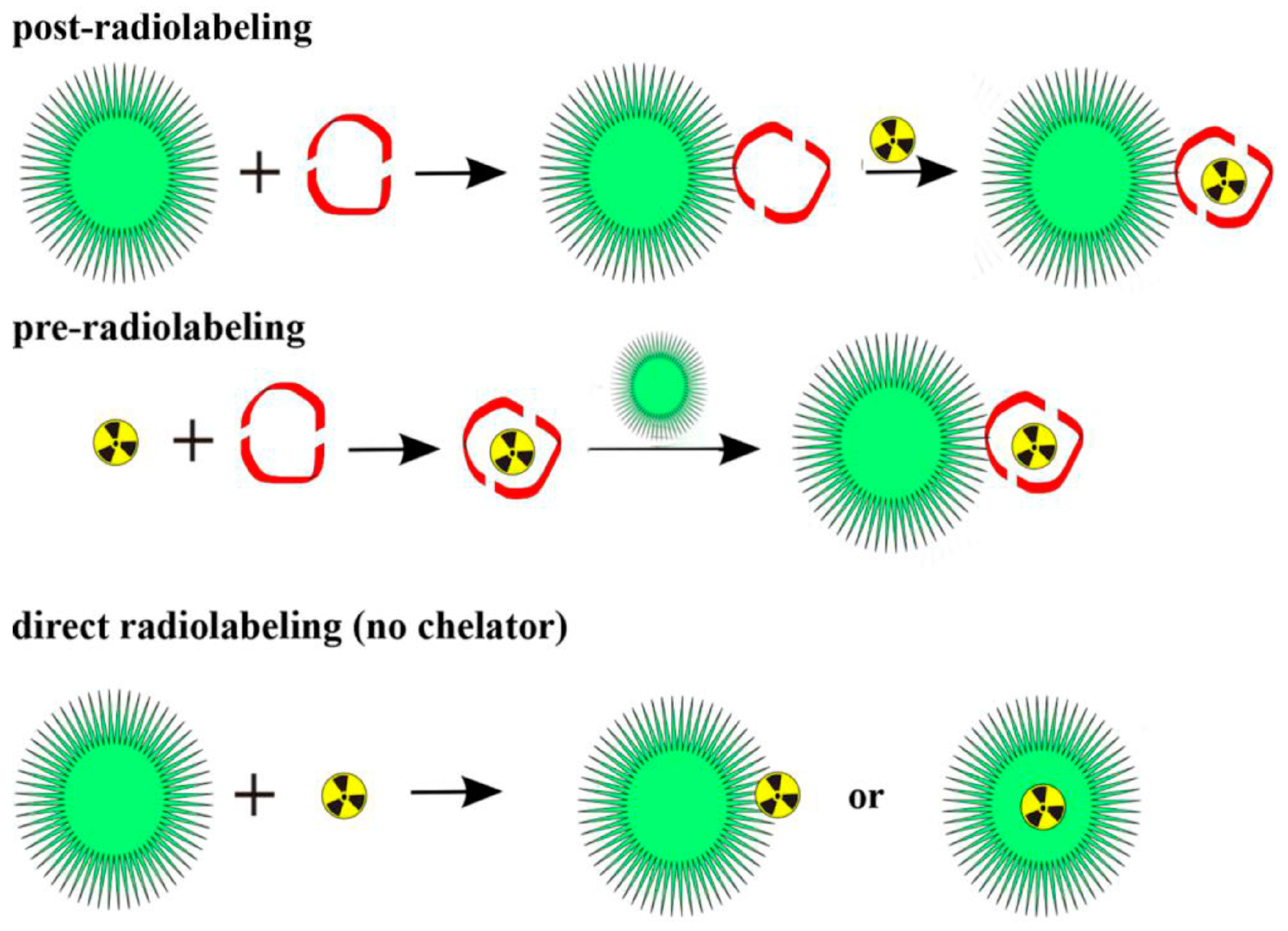 Nanomaterials 15 00117 g006