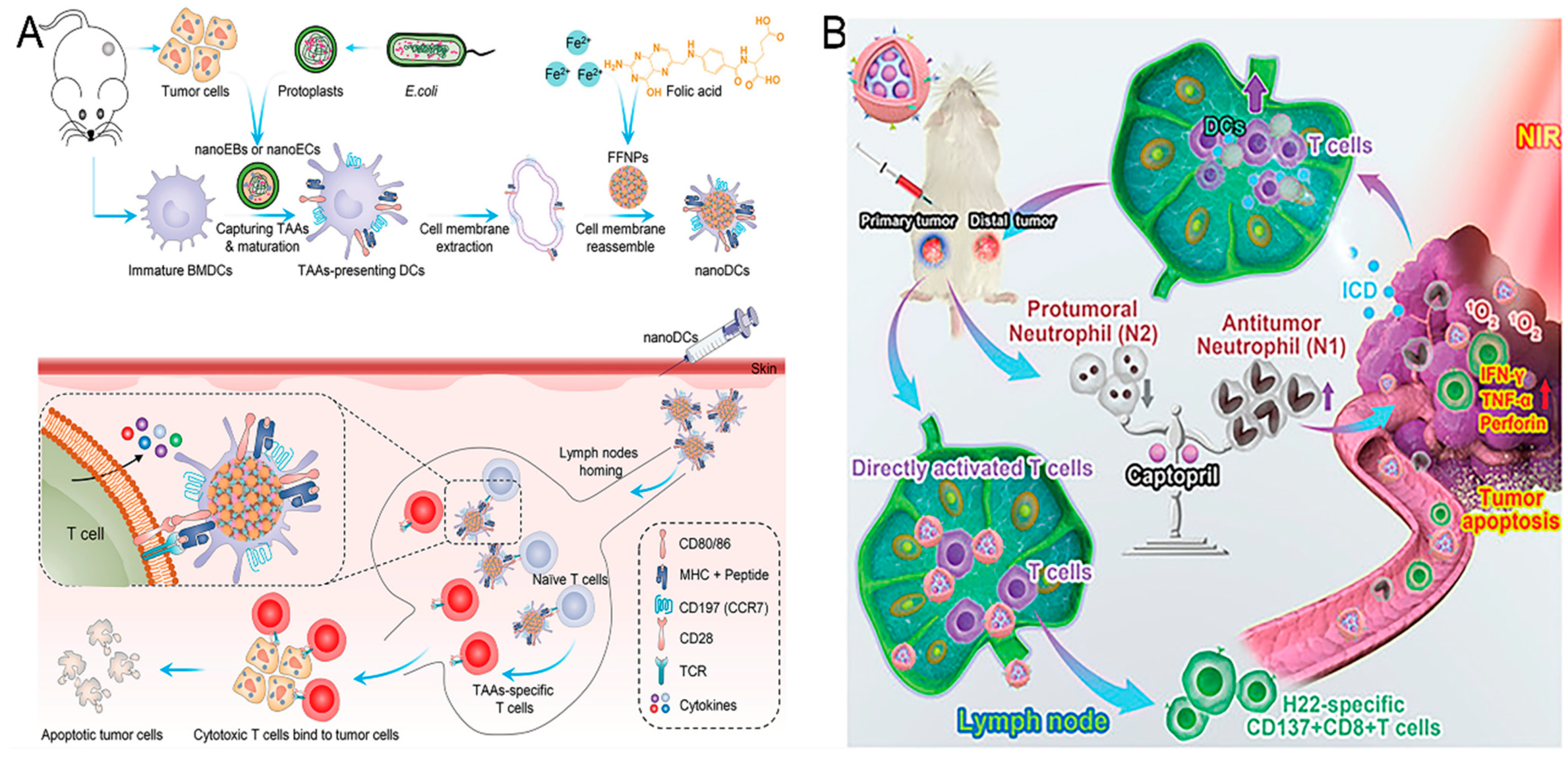 Nanomaterials 15 00122 g002