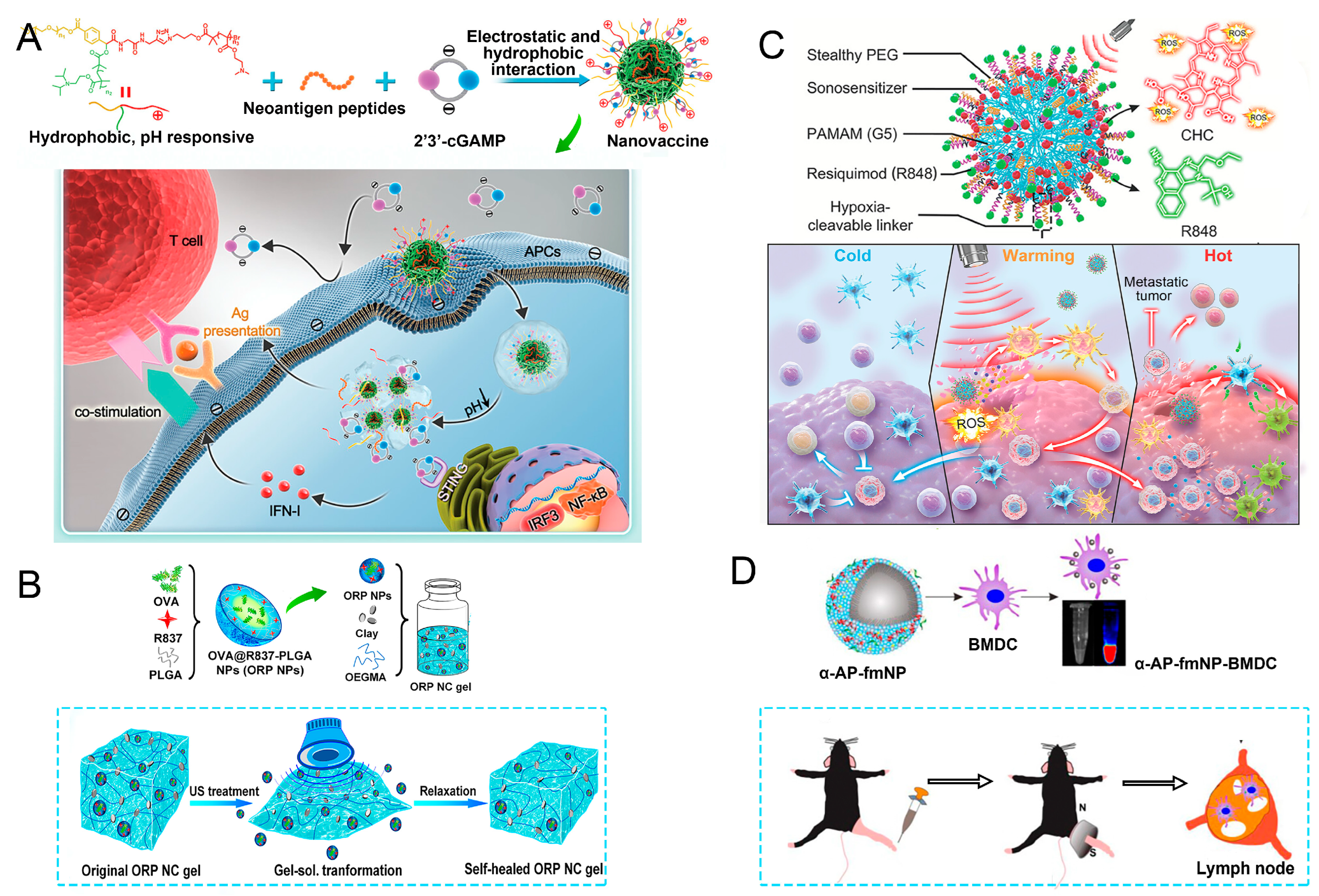 Nanomaterials 15 00122 g004