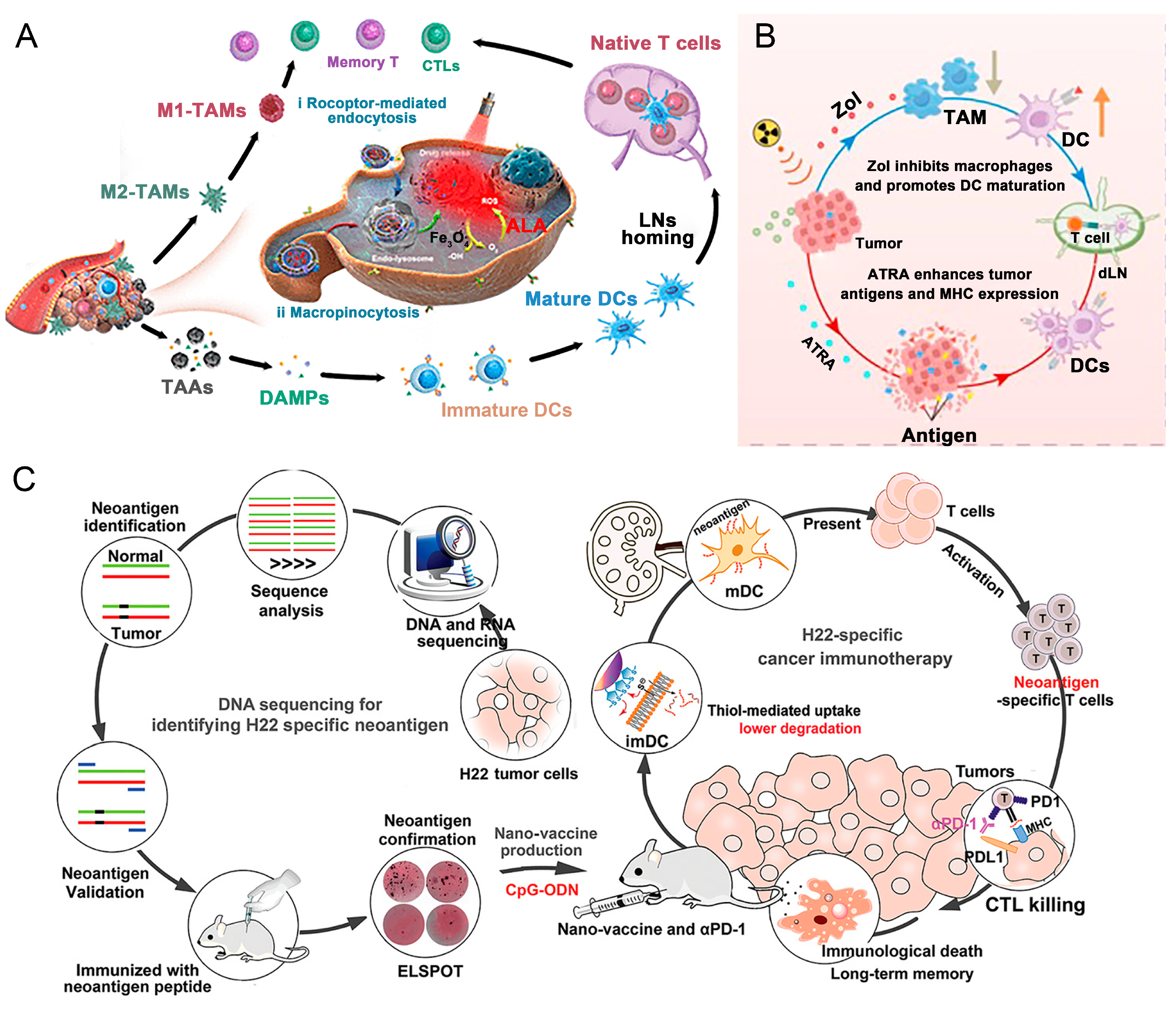 Nanomaterials 15 00122 g005