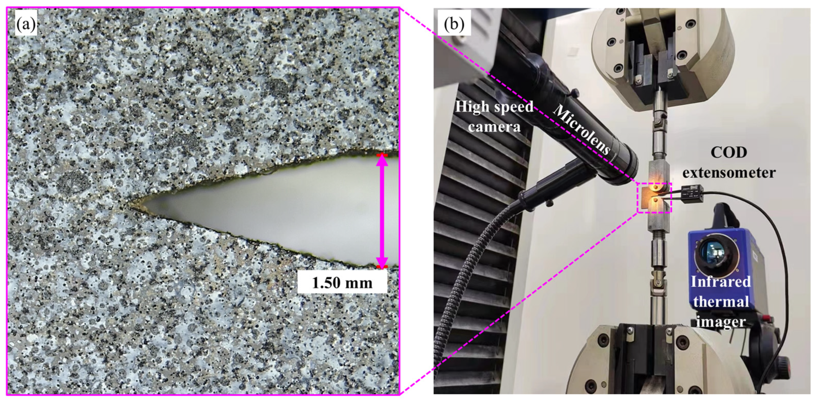 Nanomaterials 15 00125 g003