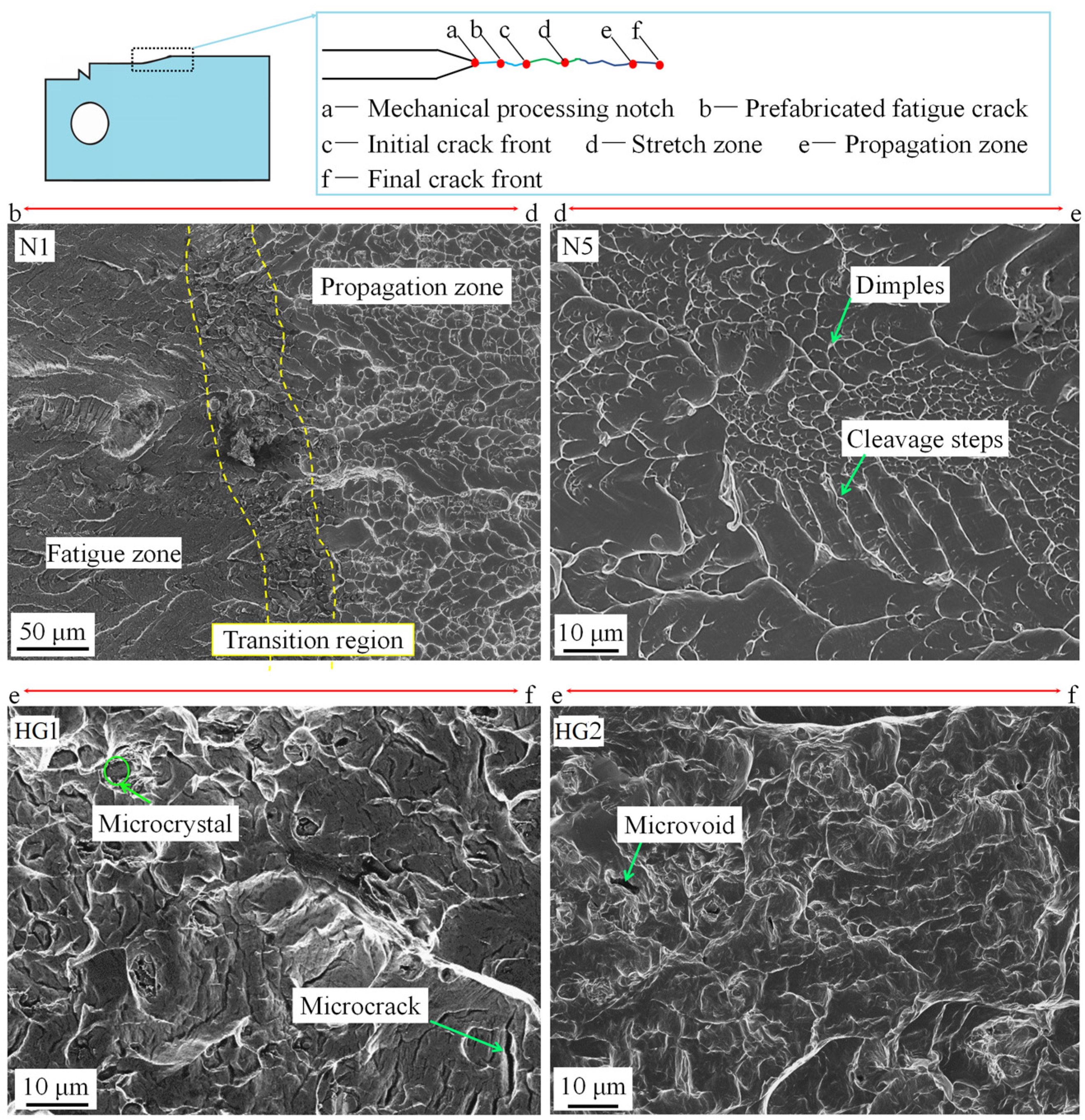 Nanomaterials 15 00125 g012
