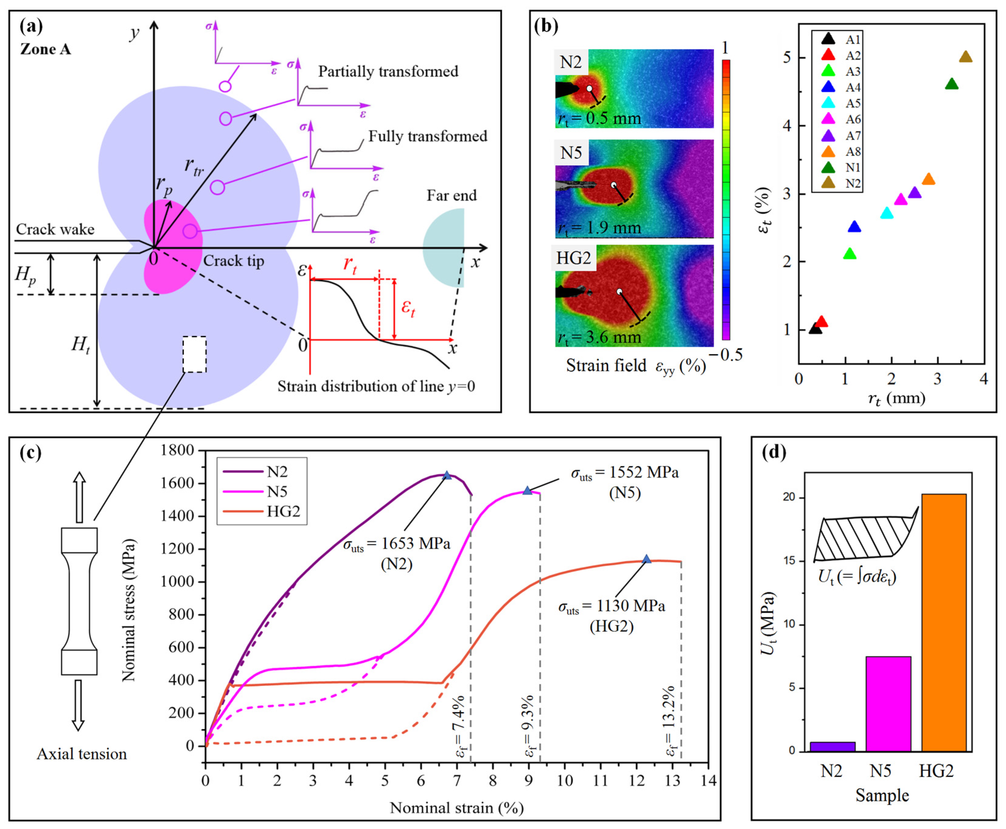 Nanomaterials 15 00125 g014