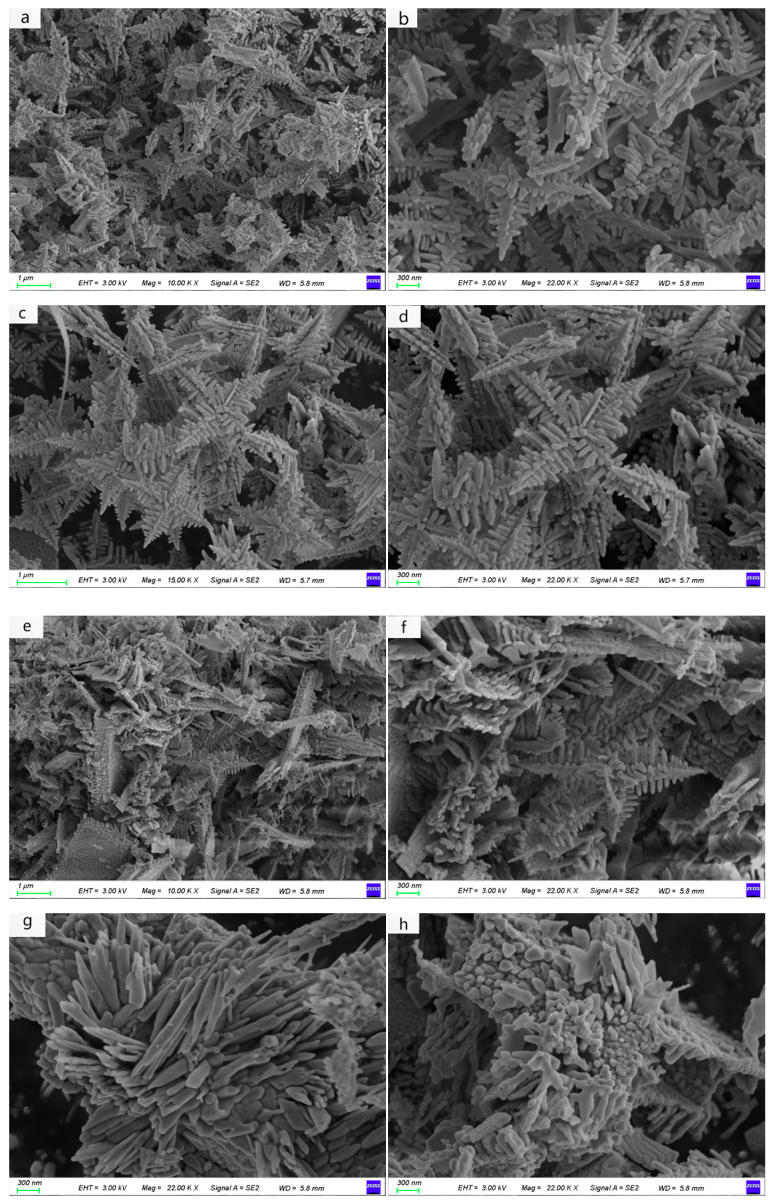 Nanomaterials 15 00127 g003