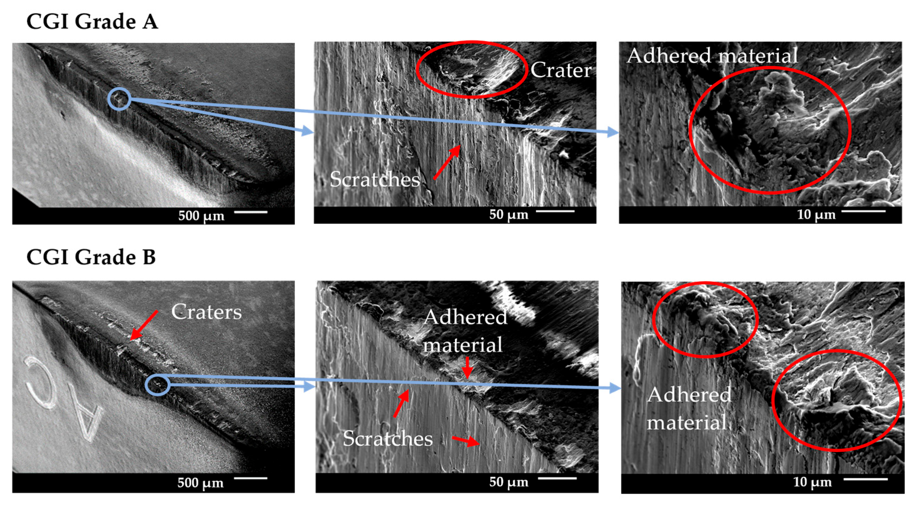 Nanomaterials 15 00130 g010