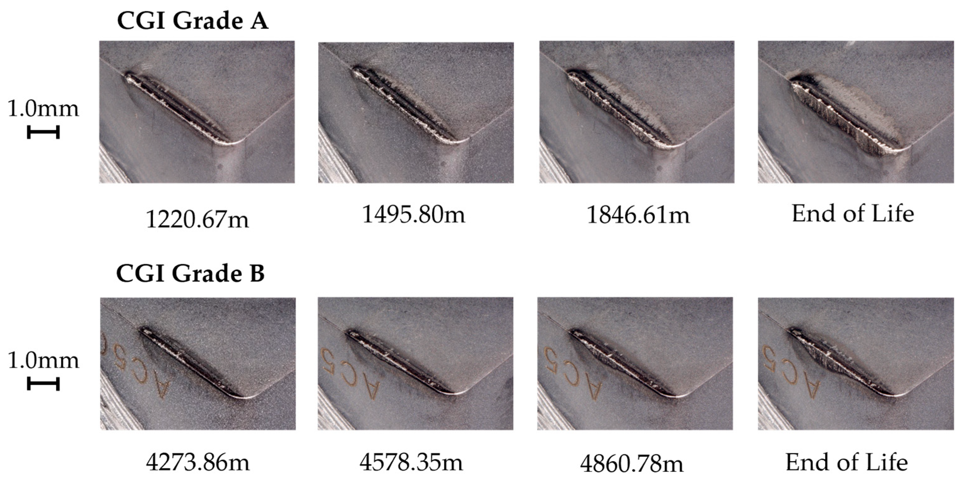 Nanomaterials 15 00130 g011