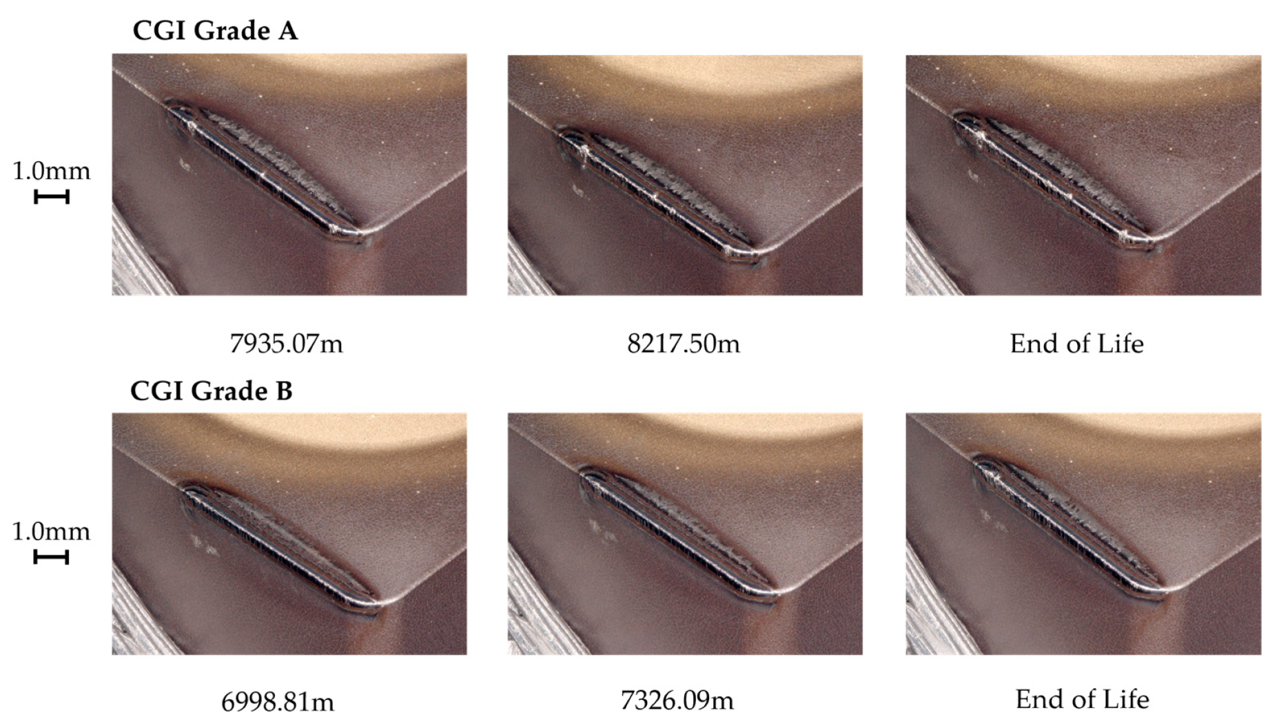 Nanomaterials 15 00130 g015