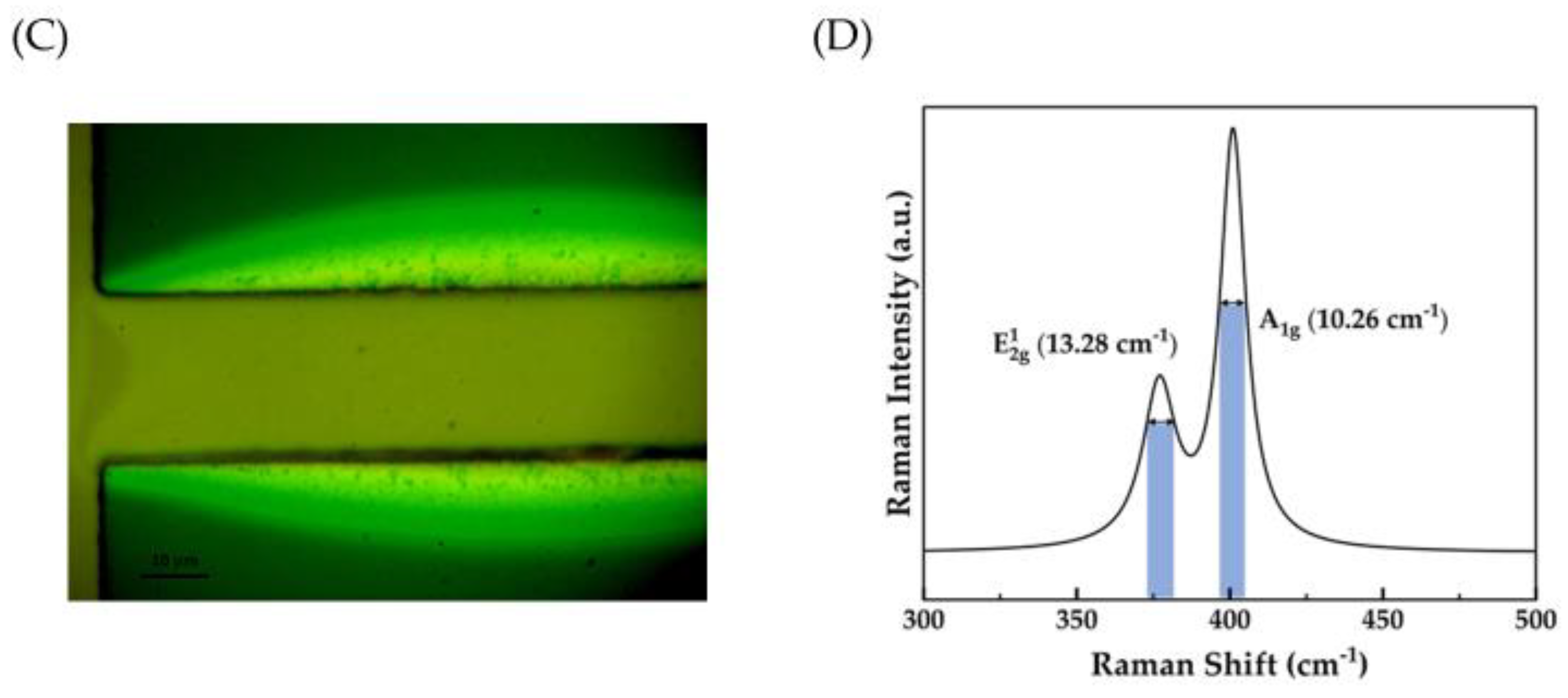 Nanomaterials 15 00131 g004b