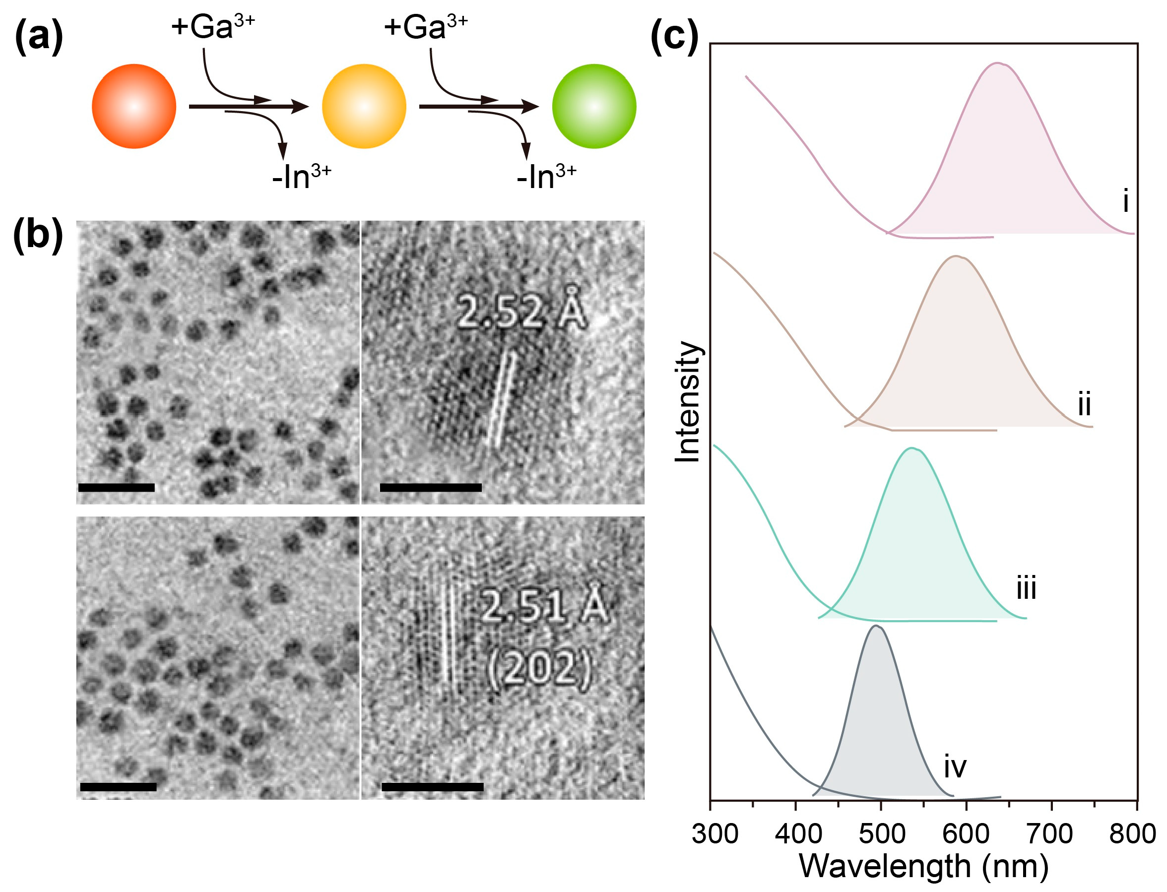 Nanomaterials 15 00147 g008