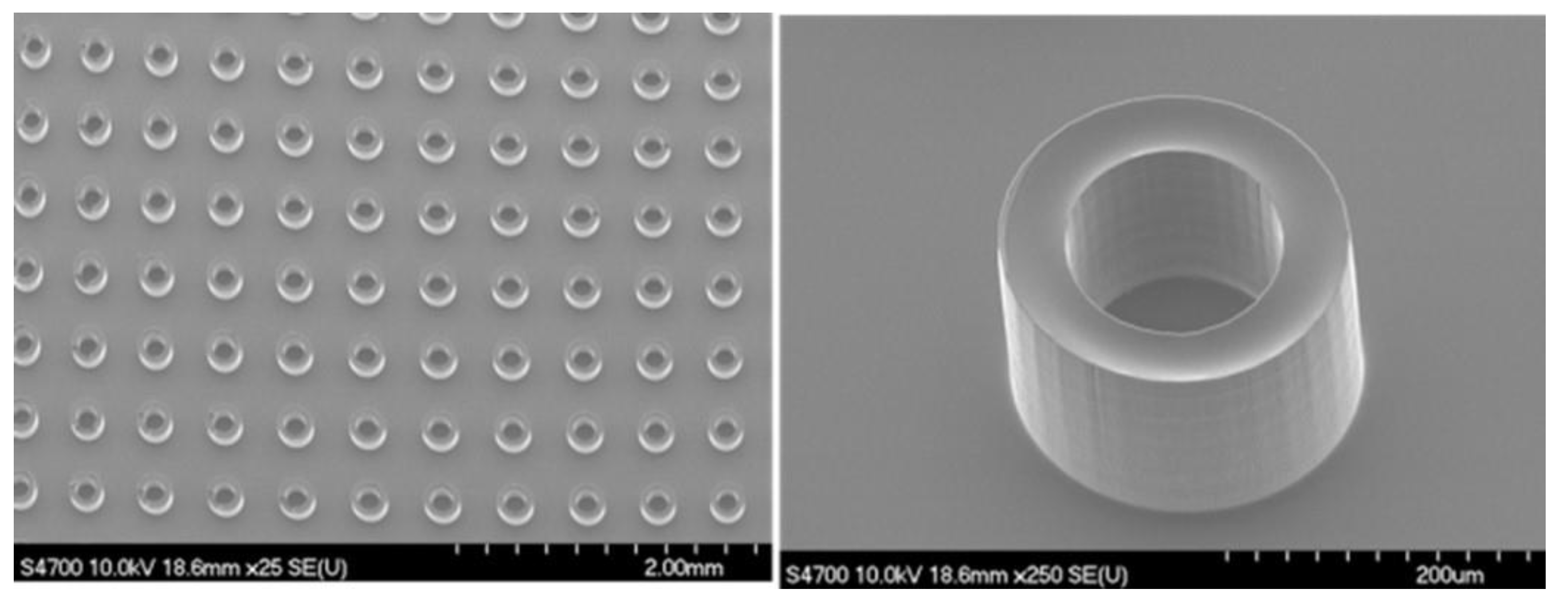 Nanomaterials 15 00149 g001