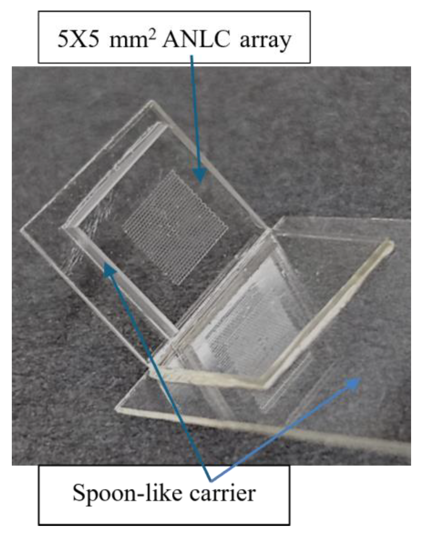 Nanomaterials 15 00149 g002