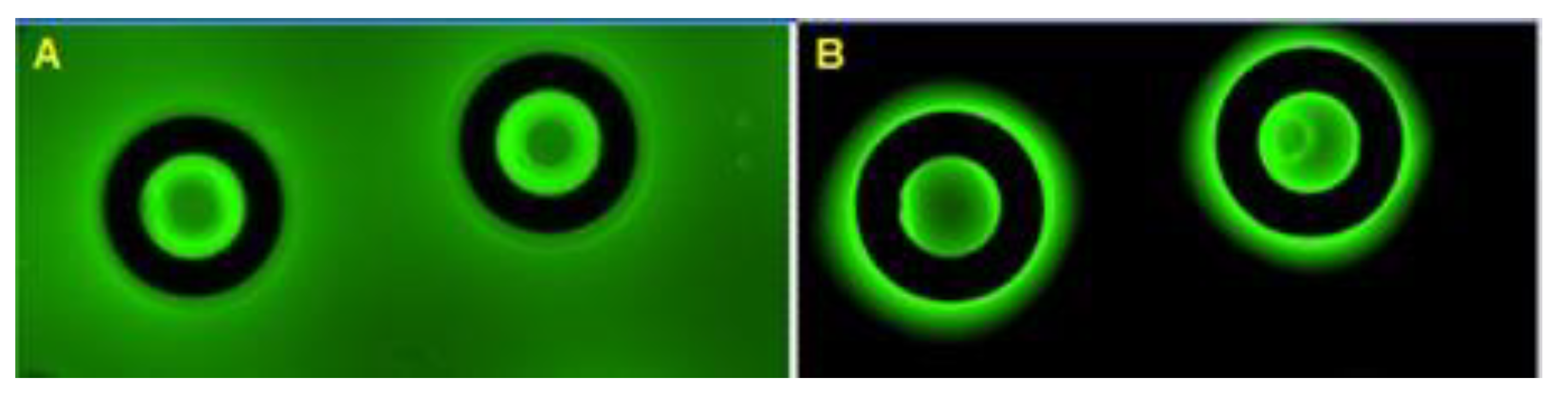 Nanomaterials 15 00149 g007
