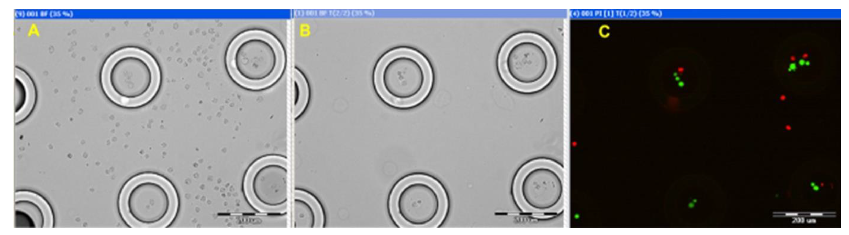 Nanomaterials 15 00149 g008