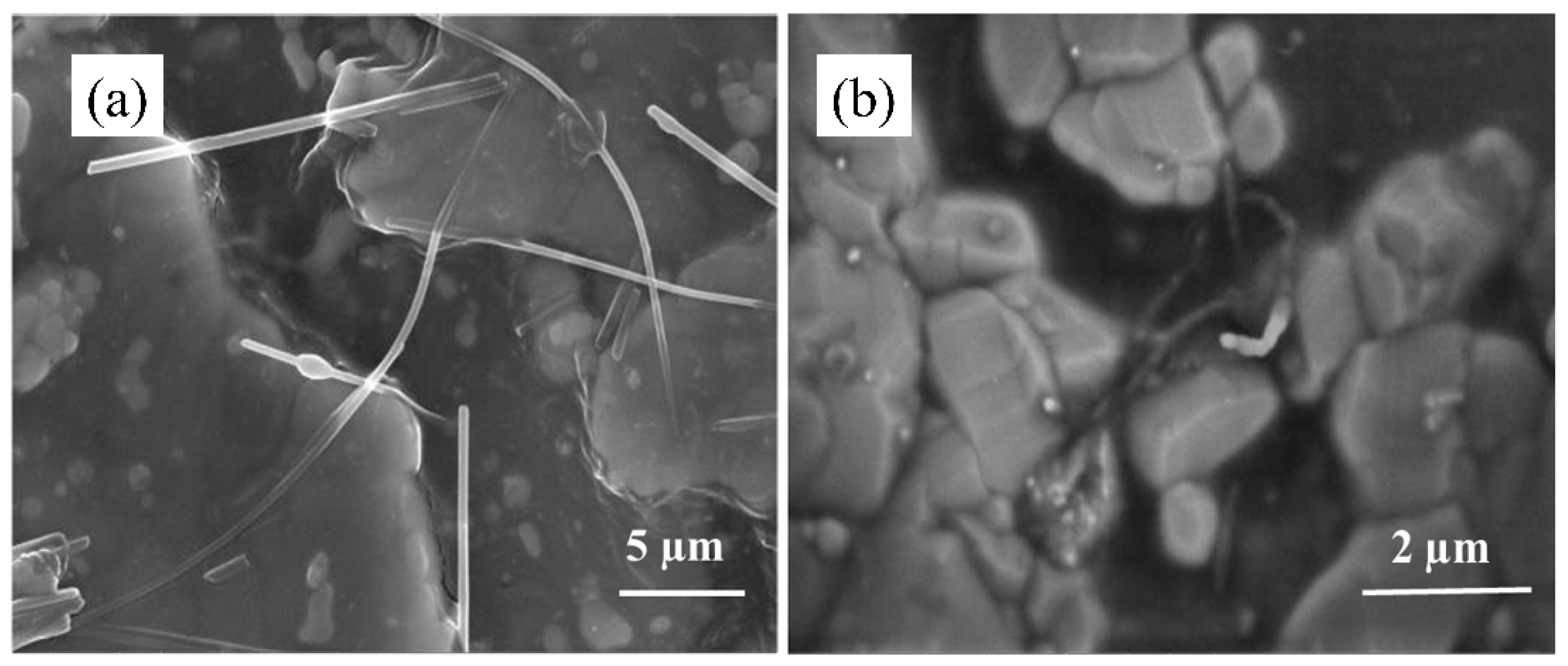 Nanomaterials 15 00152 g008