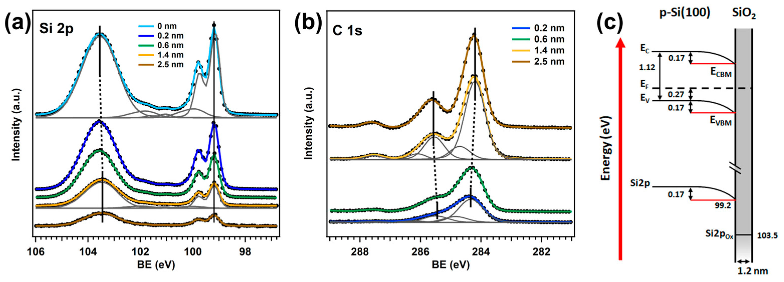 Nanomaterials 15 00154 g001