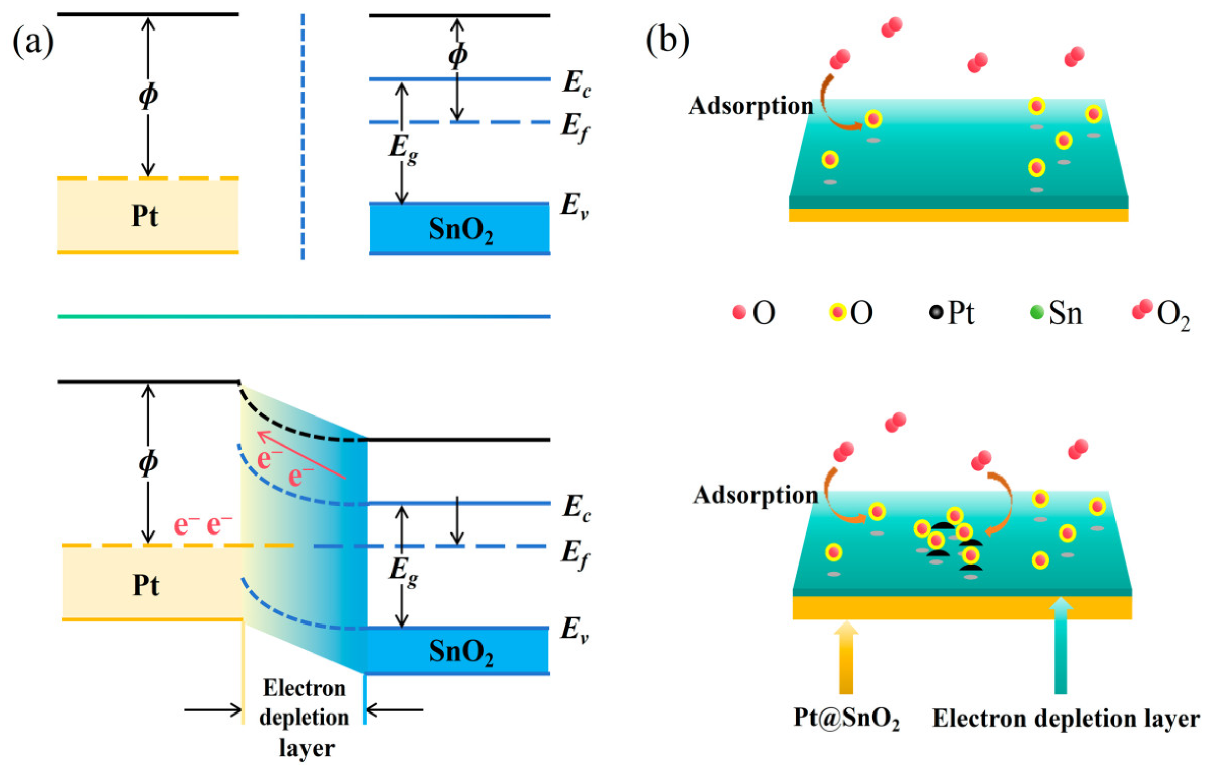 Nanomaterials 15 00155 g014