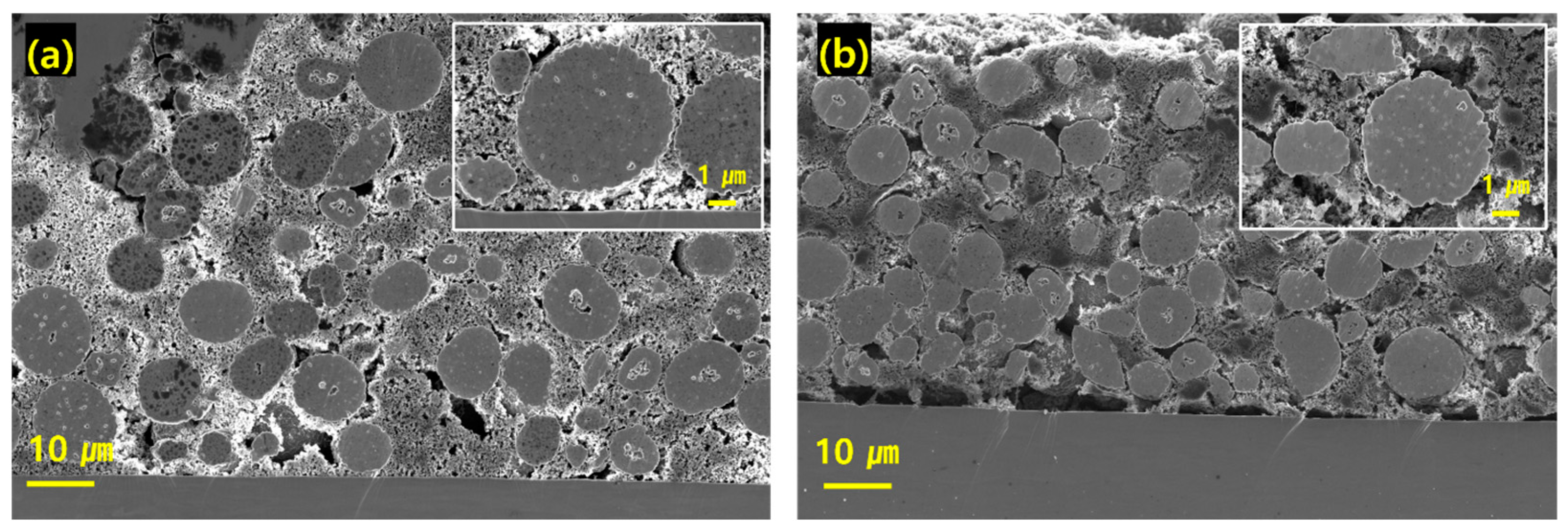 Nanomaterials 15 00156 g004