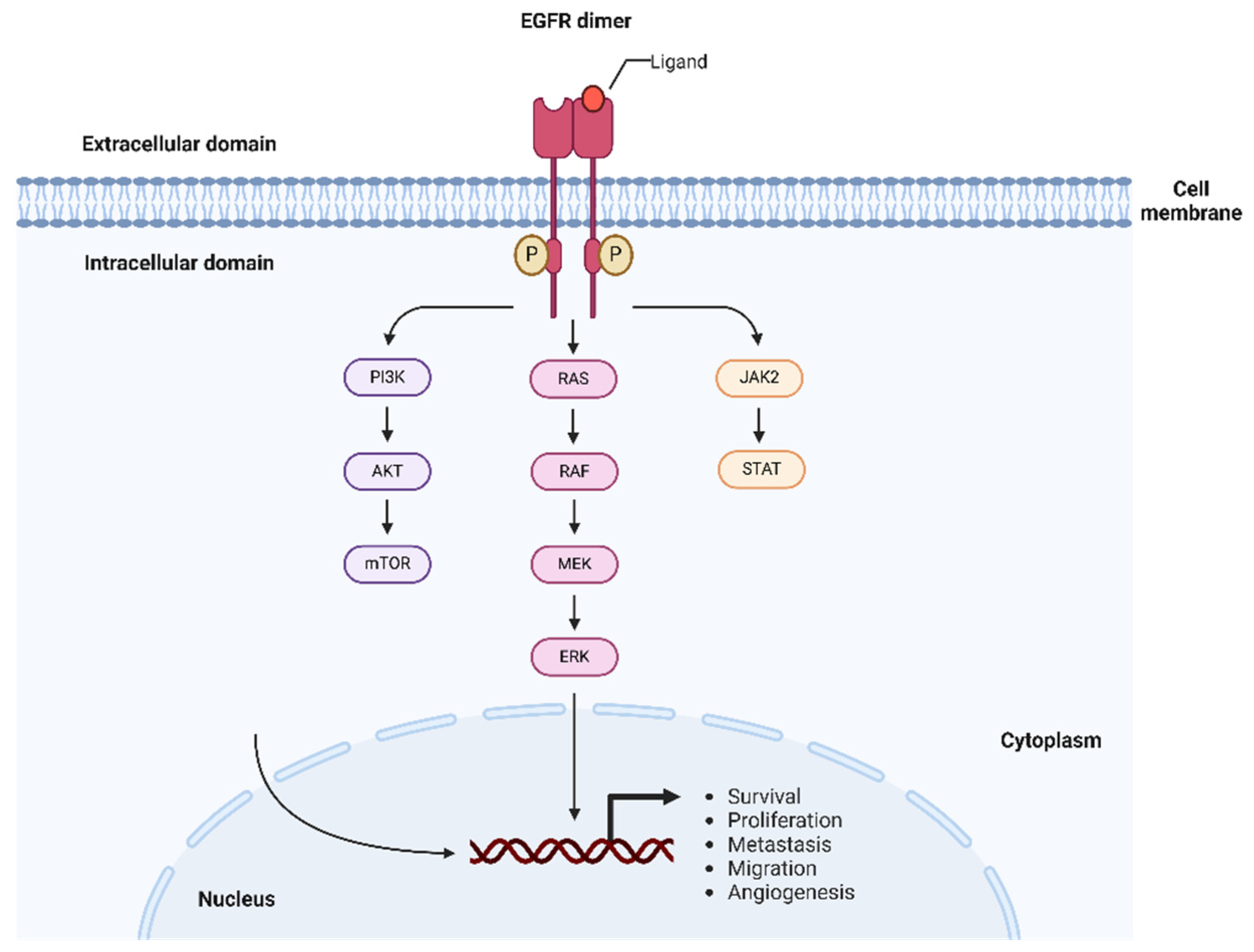 Nanomaterials 15 00158 g003 Nanomaterials 15 00158 g003