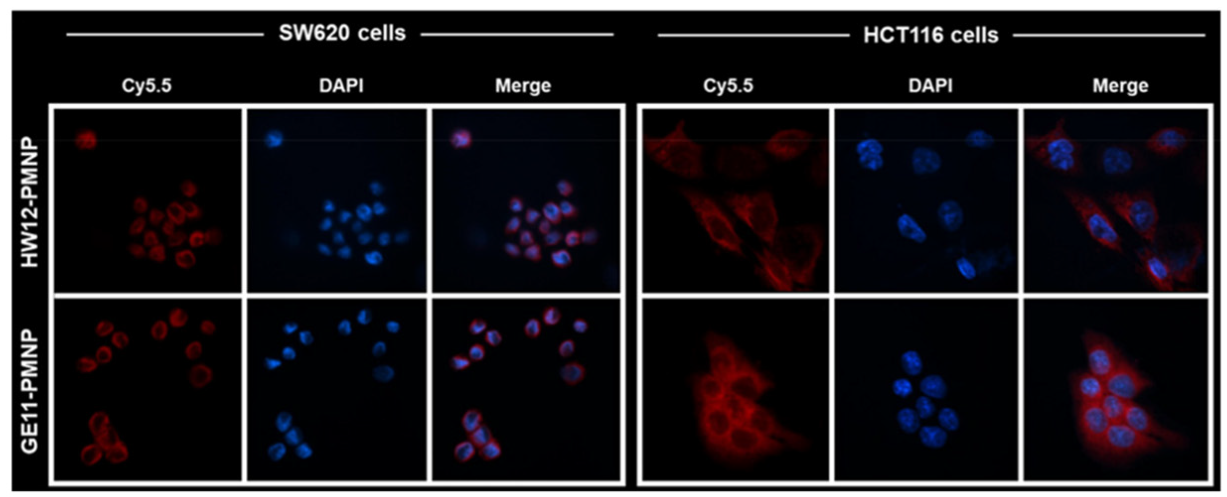 Nanomaterials 15 00158 g005 Nanomaterials 15 00158 g005