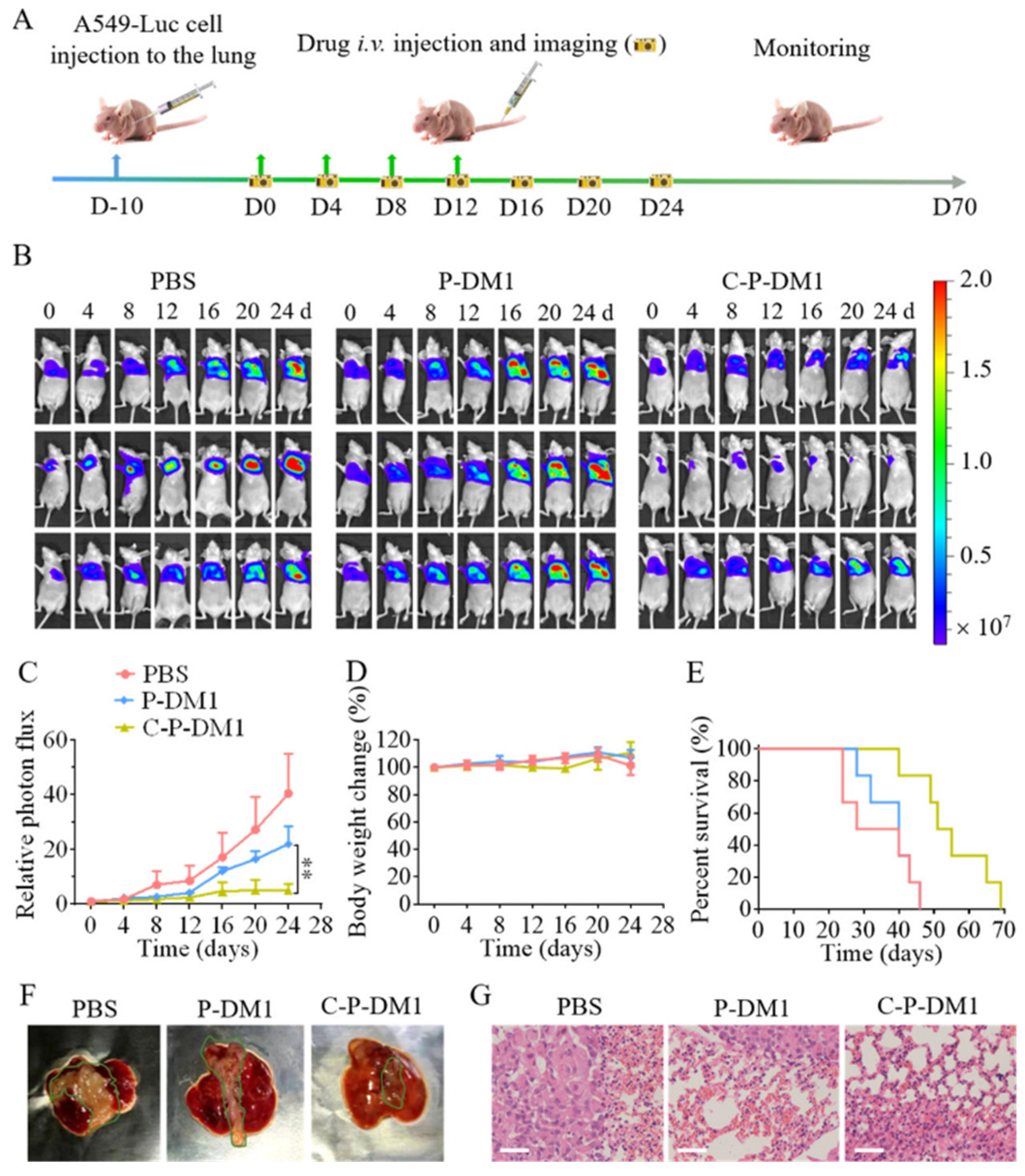 Nanomaterials 15 00158 g006 Nanomaterials 15 00158 g006