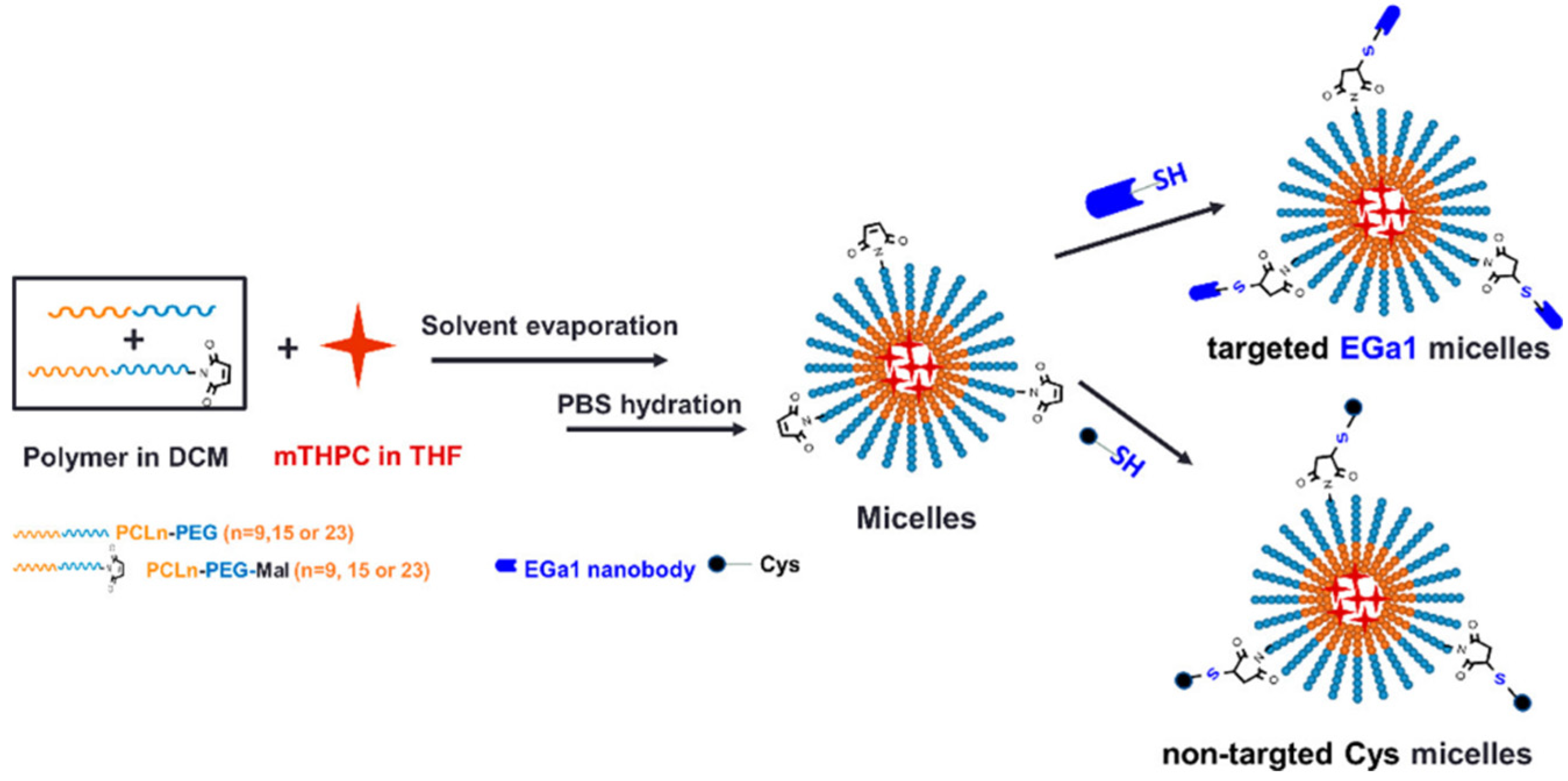 Nanomaterials 15 00158 g007 Nanomaterials 15 00158 g007