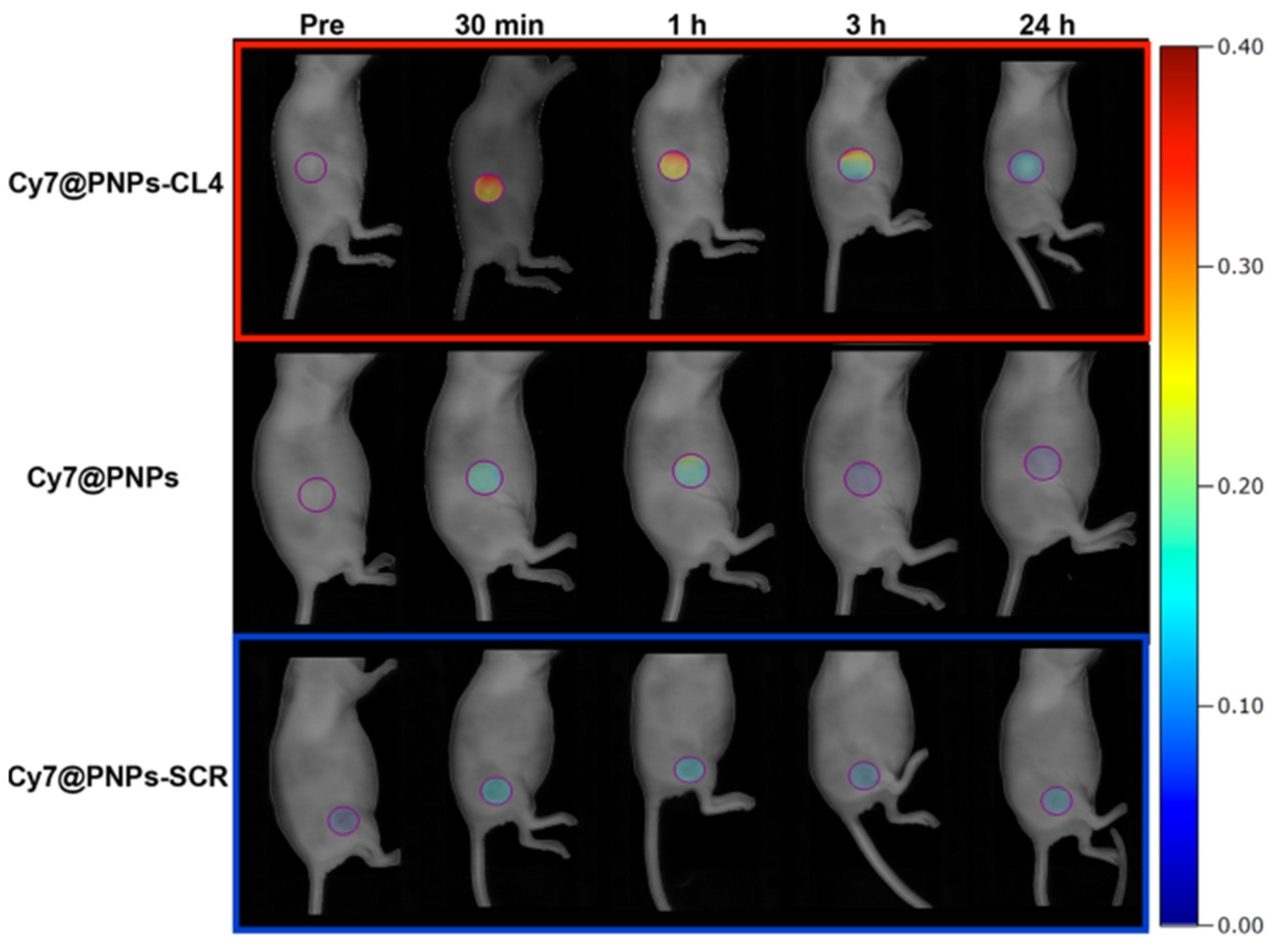 Nanomaterials 15 00158 g009 Nanomaterials 15 00158 g009