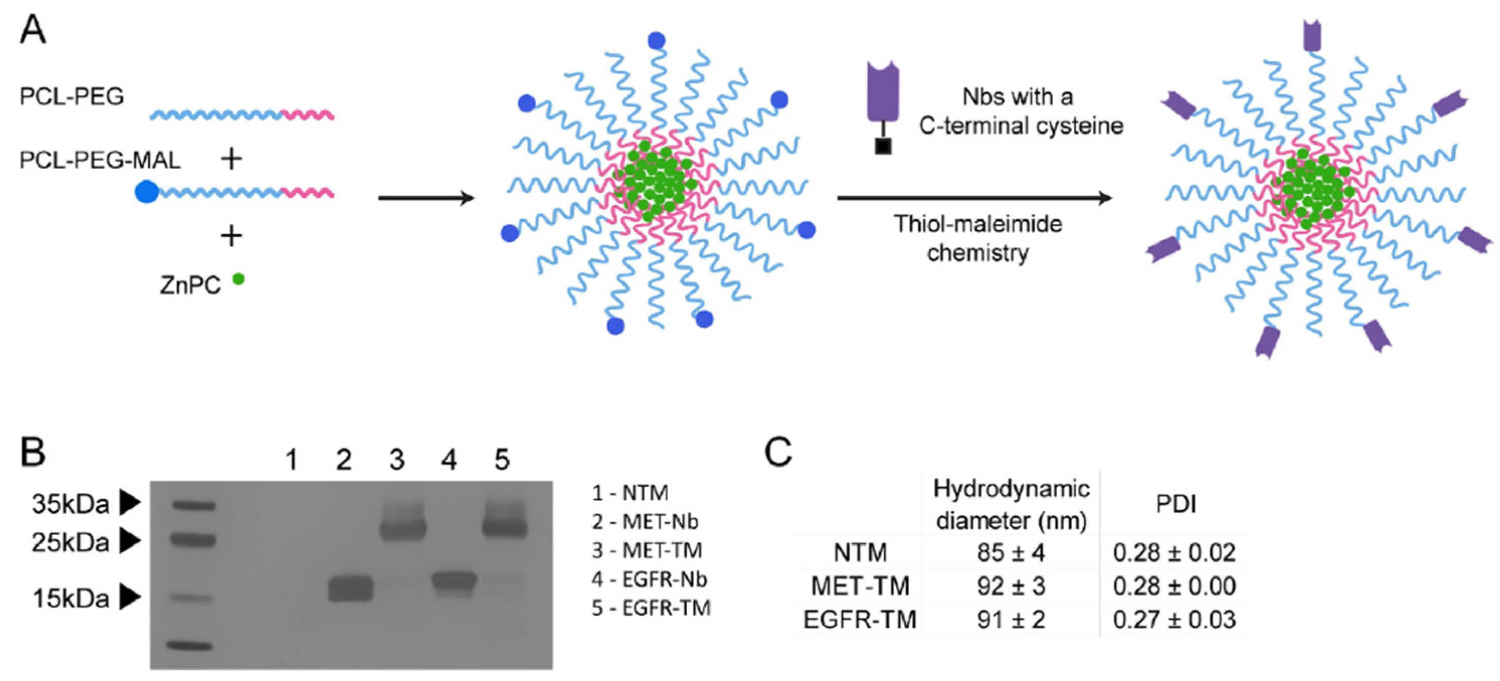 Nanomaterials 15 00158 g011 Nanomaterials 15 00158 g011