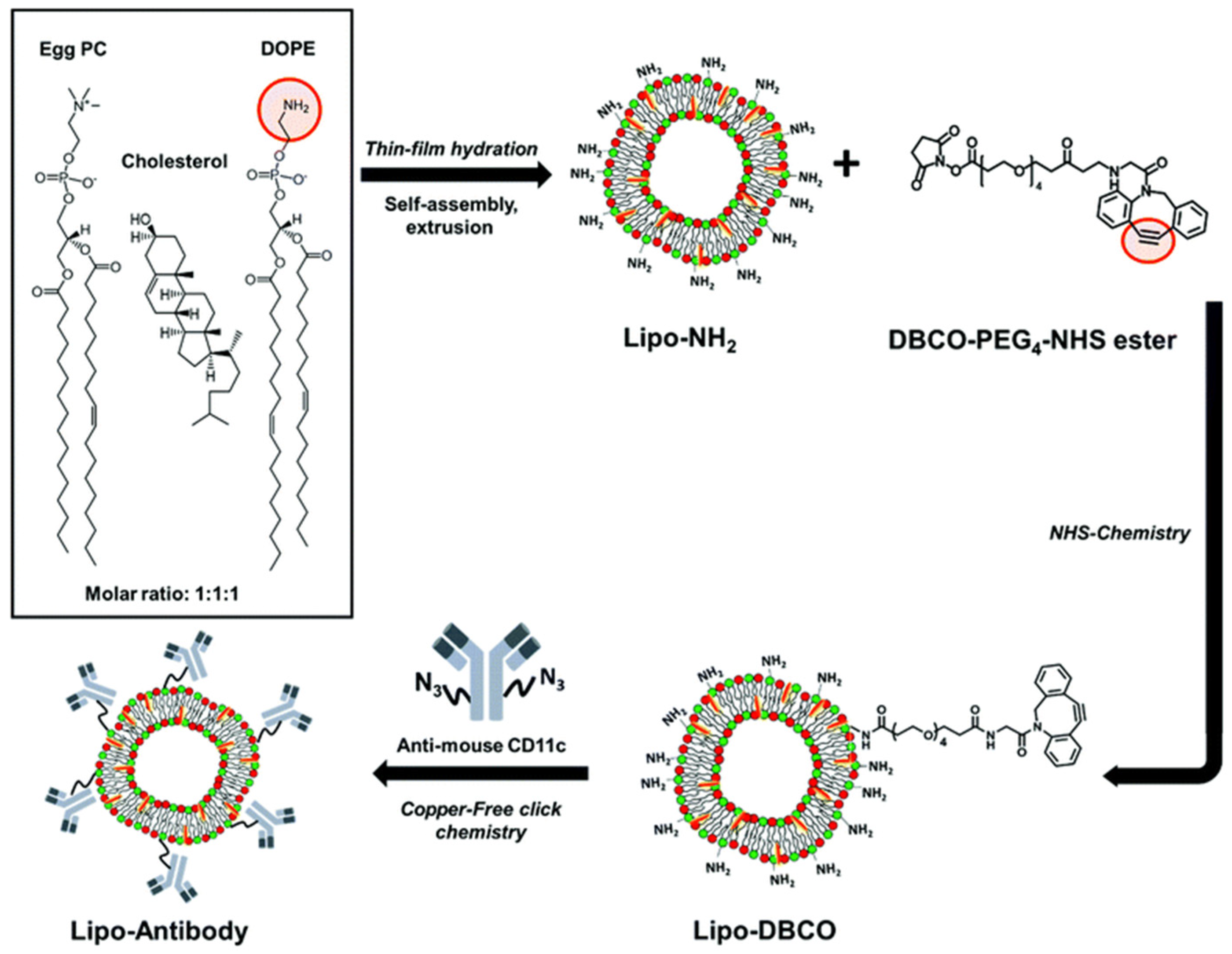 Nanomaterials 15 00158 g012 Nanomaterials 15 00158 g012